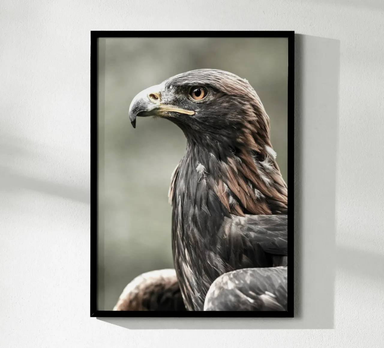 Bald Eagle carta hahnemühle da nabakumov