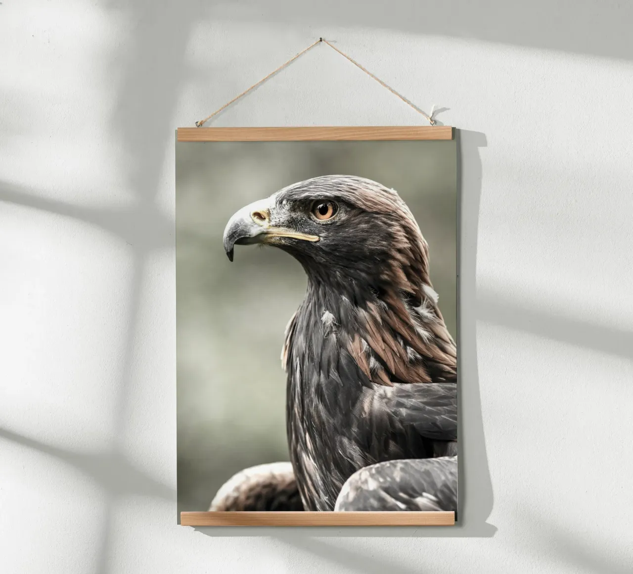 Bald Eagle poster by nabakumov