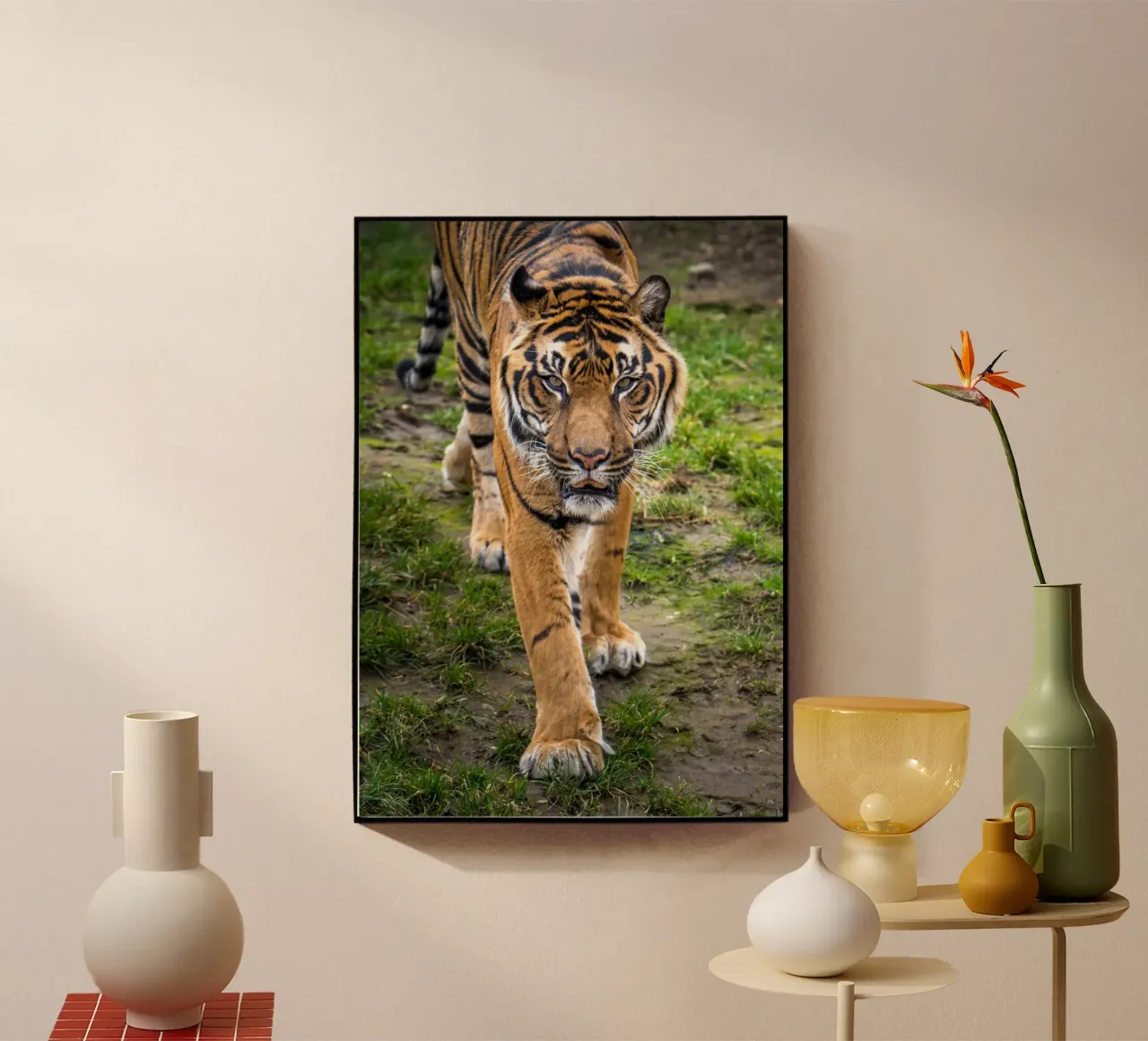 Tiger plexiglass da nabakumov