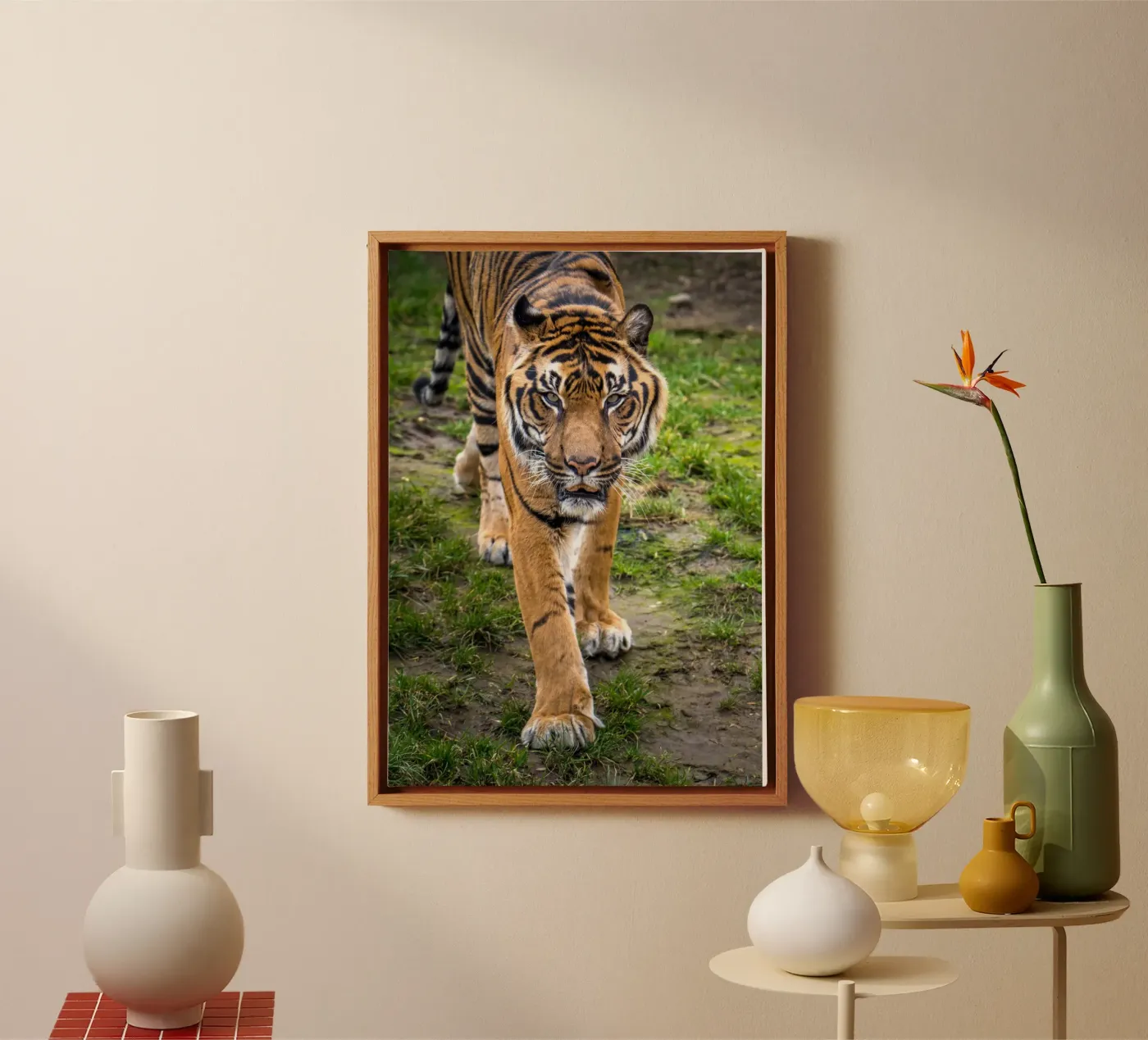 Tiger tela da nabakumov
