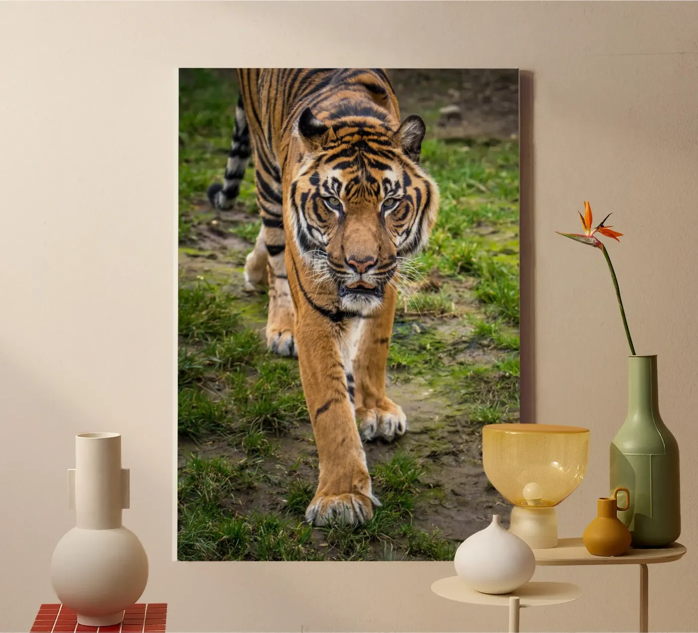Tiger tela da nabakumov