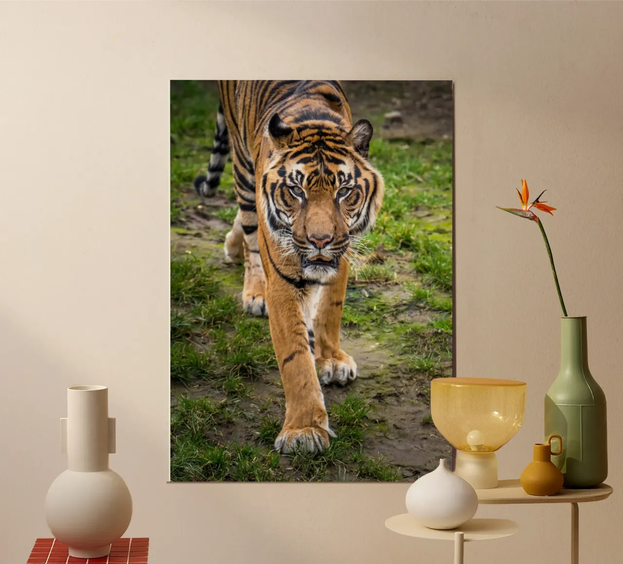 Tiger poster da nabakumov