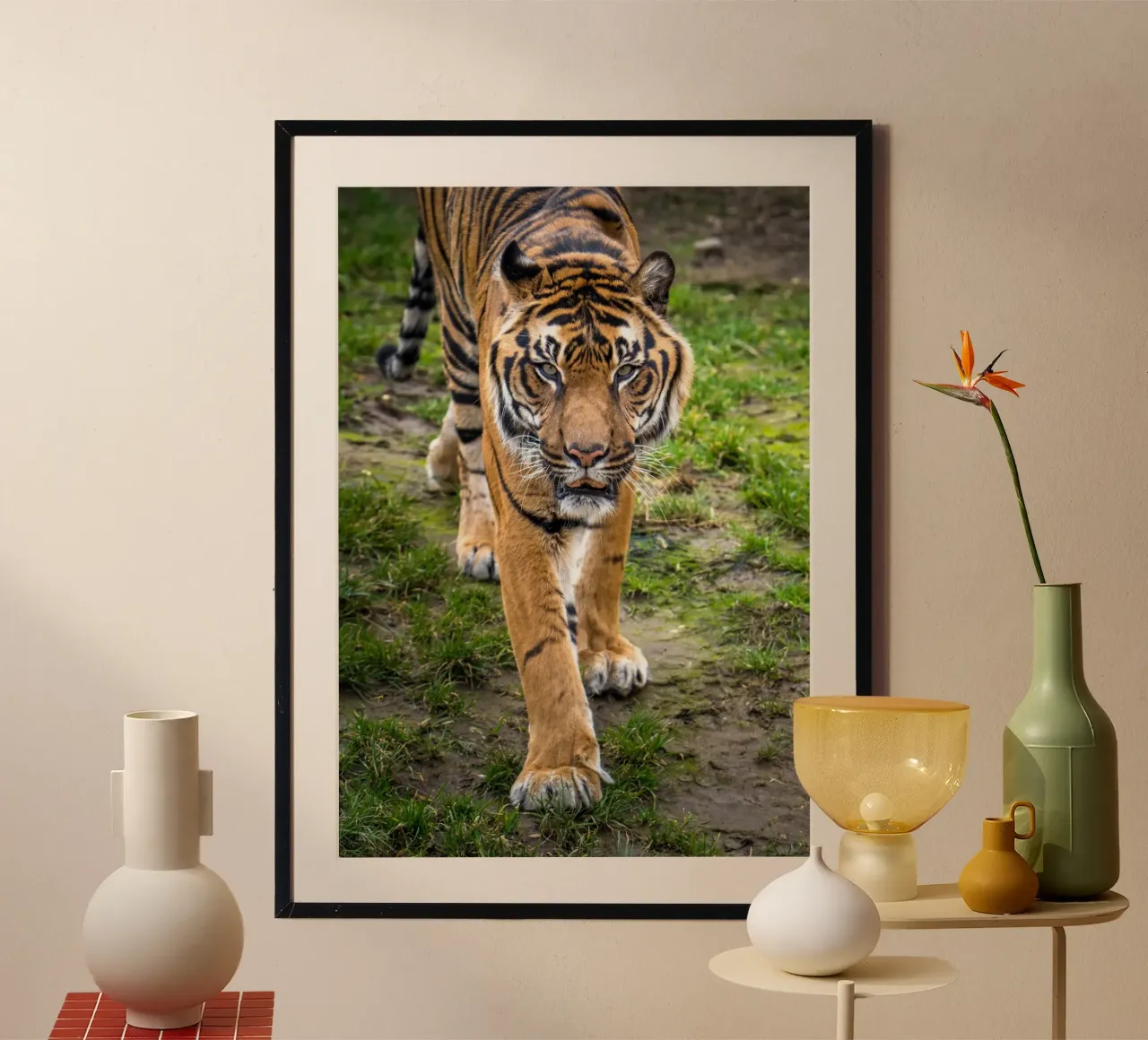 Tiger poster da nabakumov