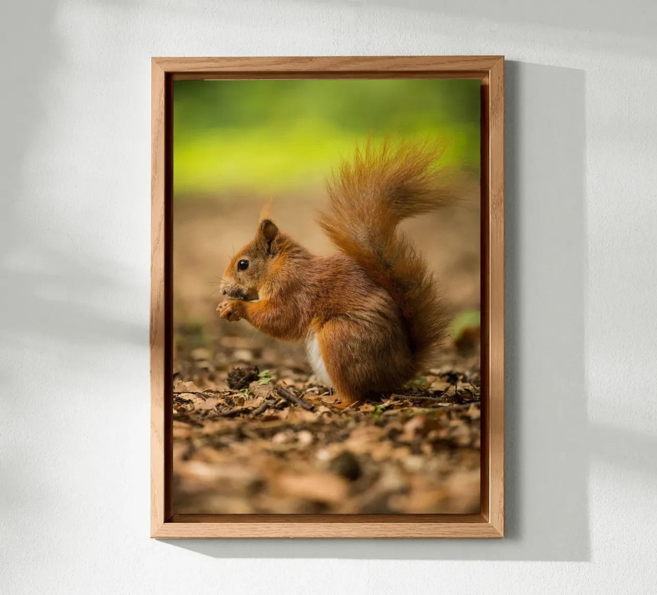 Squirrel alluminio dibond da nabakumov