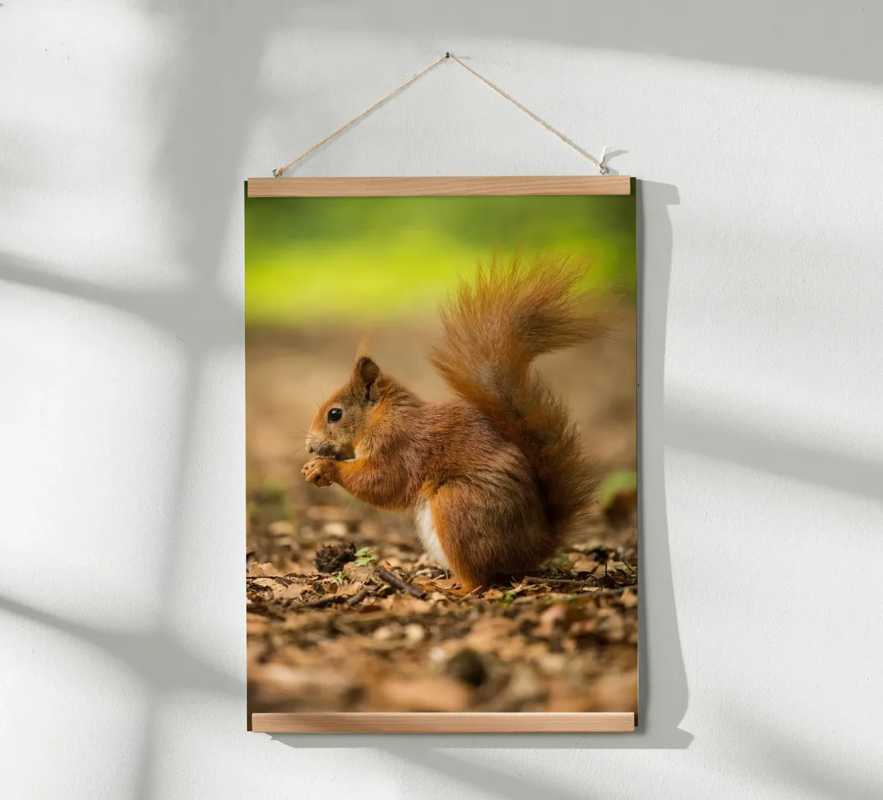 Squirrel poster da nabakumov
