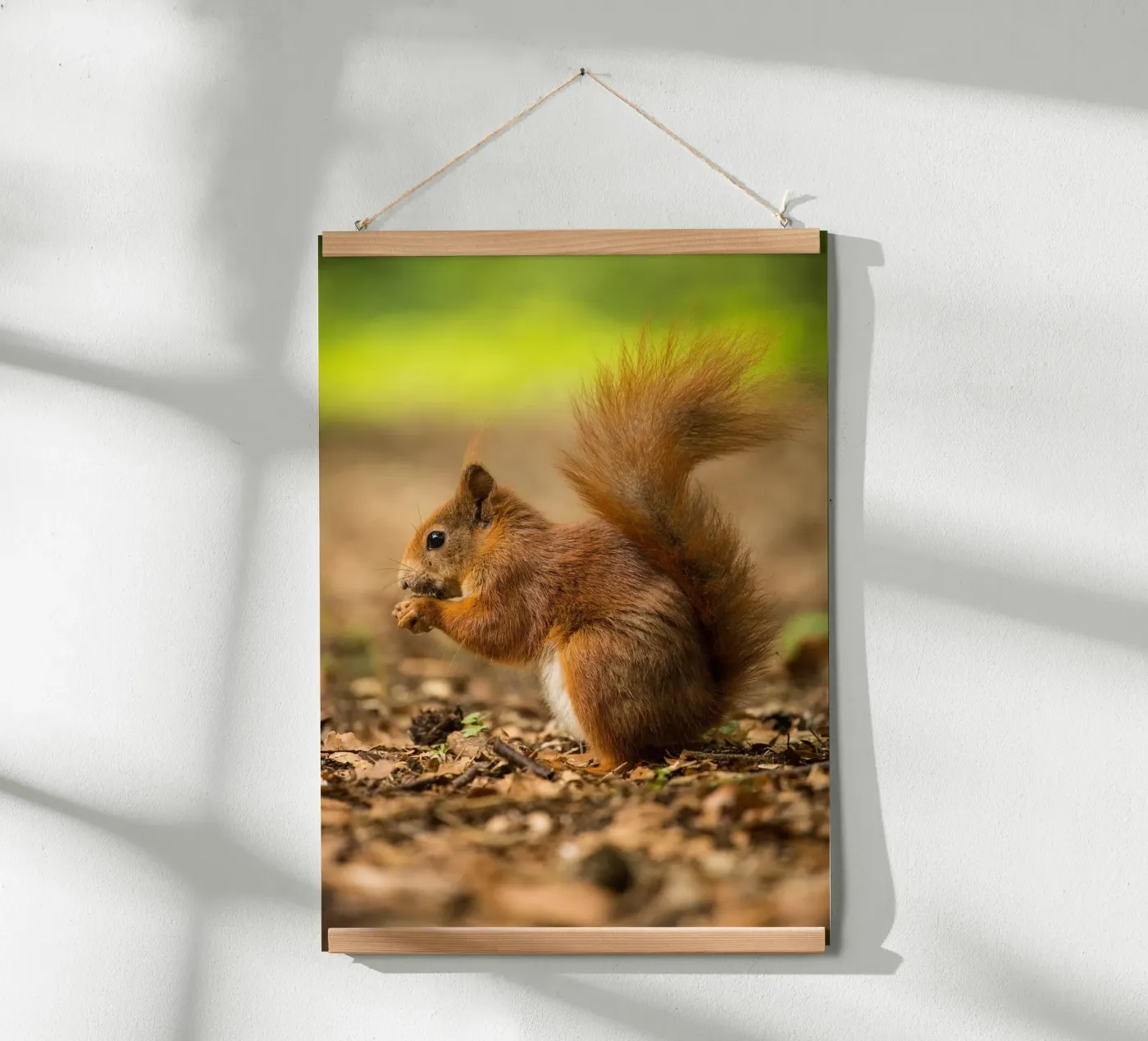 Squirrel poster da nabakumov