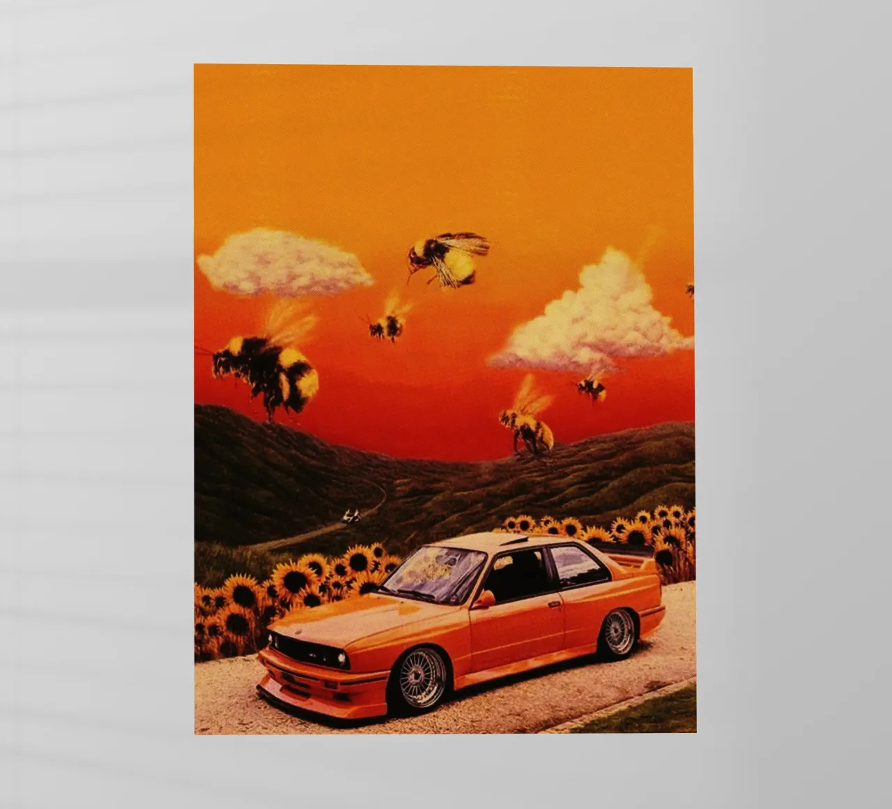 Tyler The Creator Flower Boy pellicola backlit da Torres 9