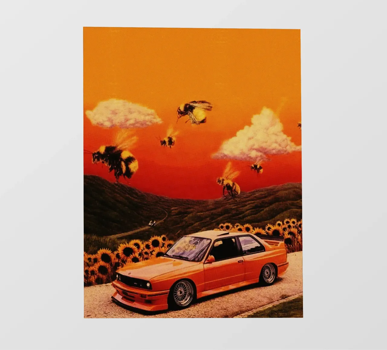 Tyler The Creator Flower Boy pellicola backlit da Torres 9