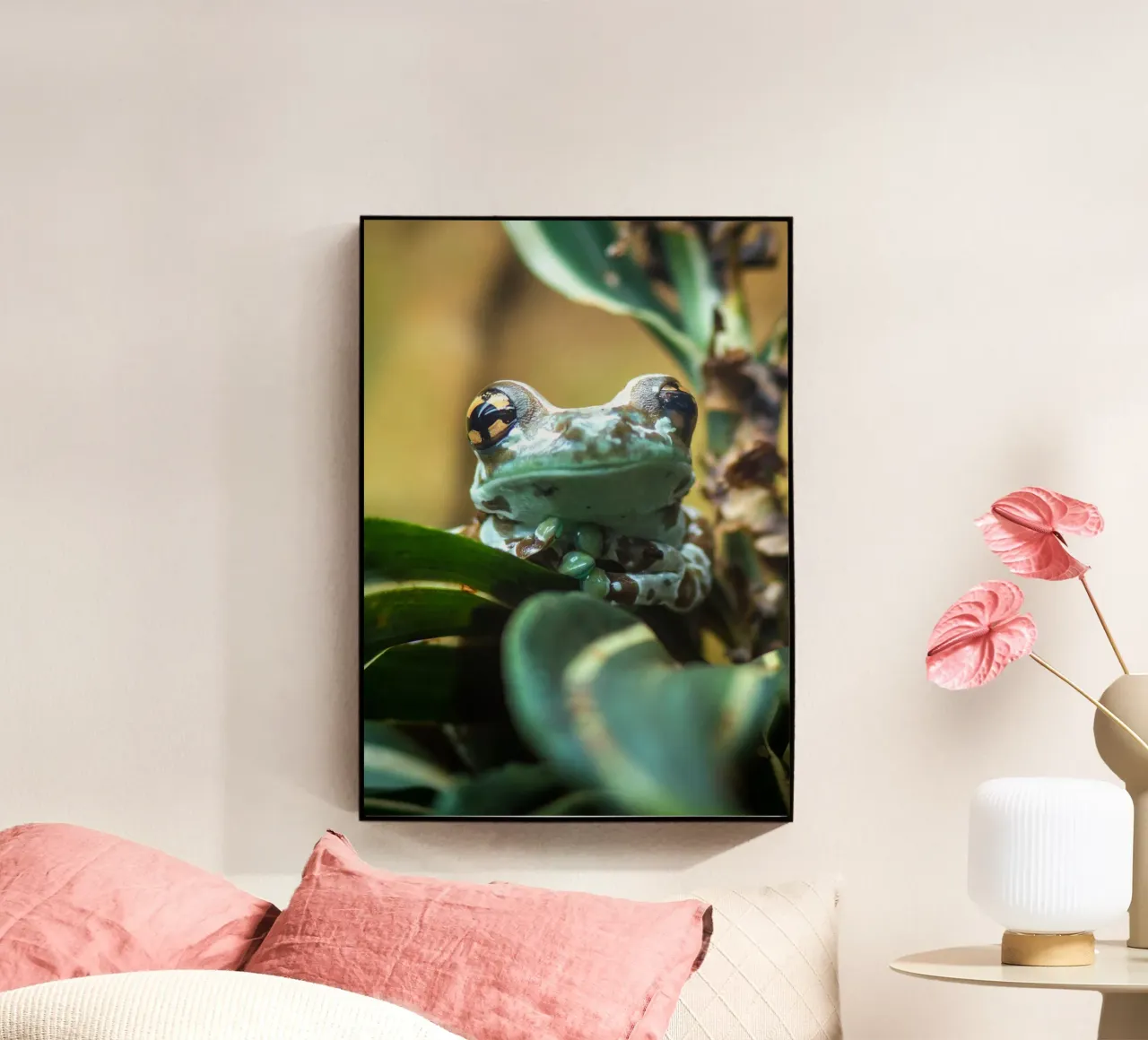 Milk Frog plexiglass da nabakumov