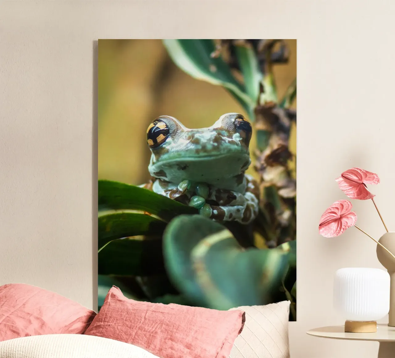 Milk Frog plexiglass da nabakumov