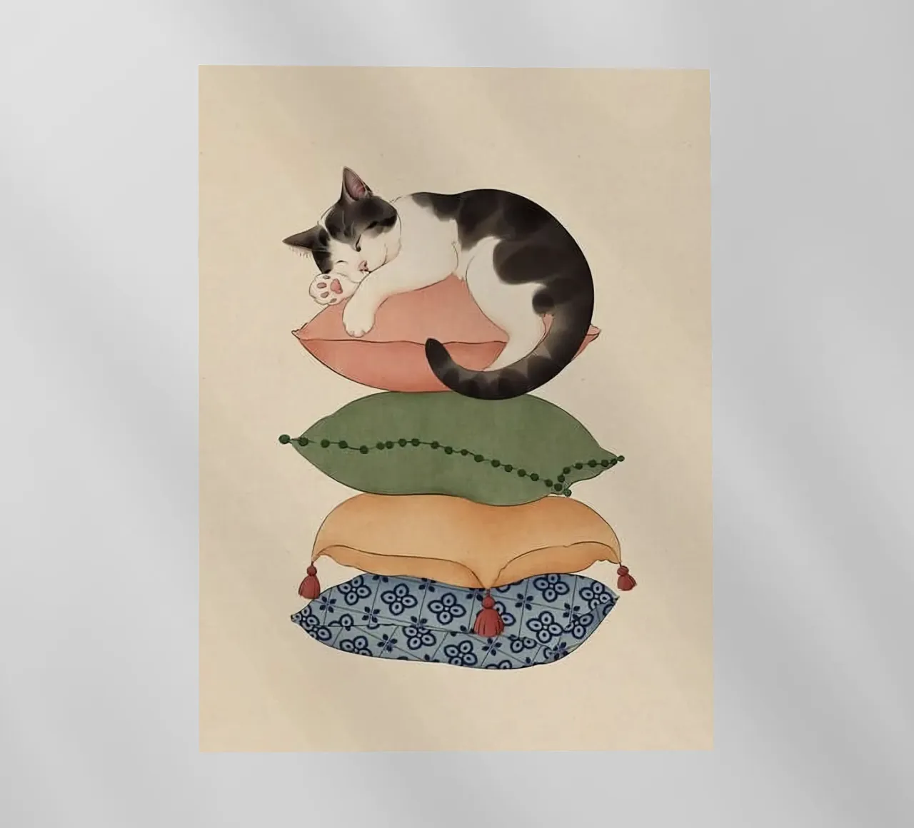 cat on pillow pellicola backlit da ryan