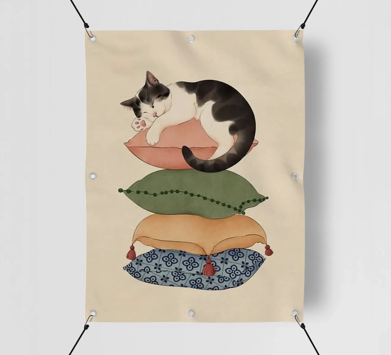 cat on pillow telo in pvc da ryan