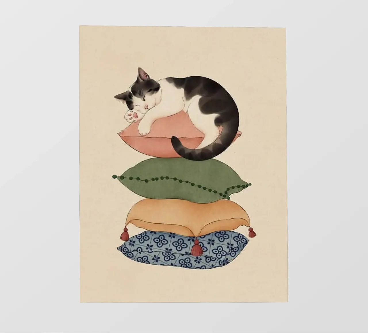 cat on pillow telo in pvc da ryan