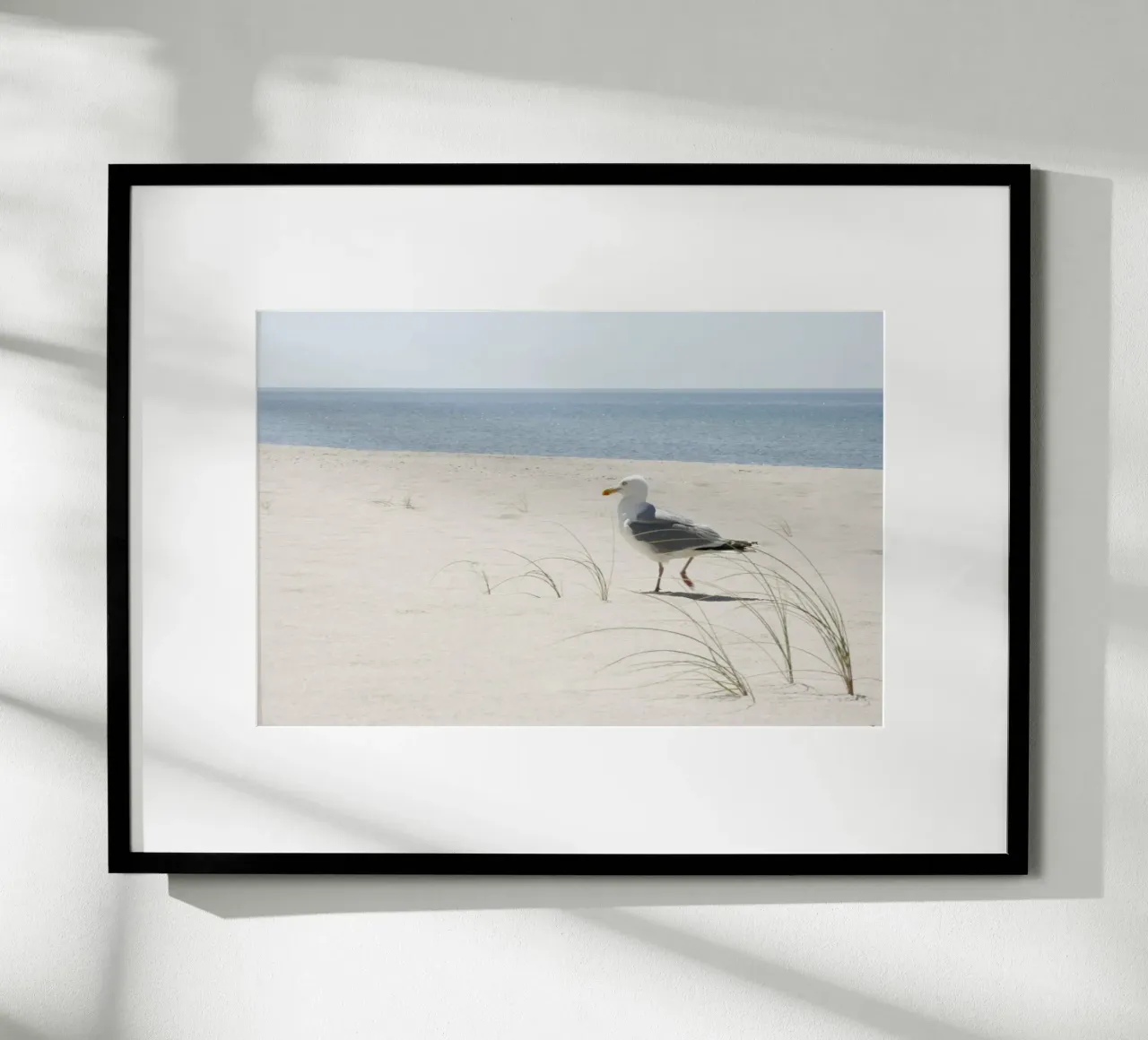 Möwe Poster von eyes & tries