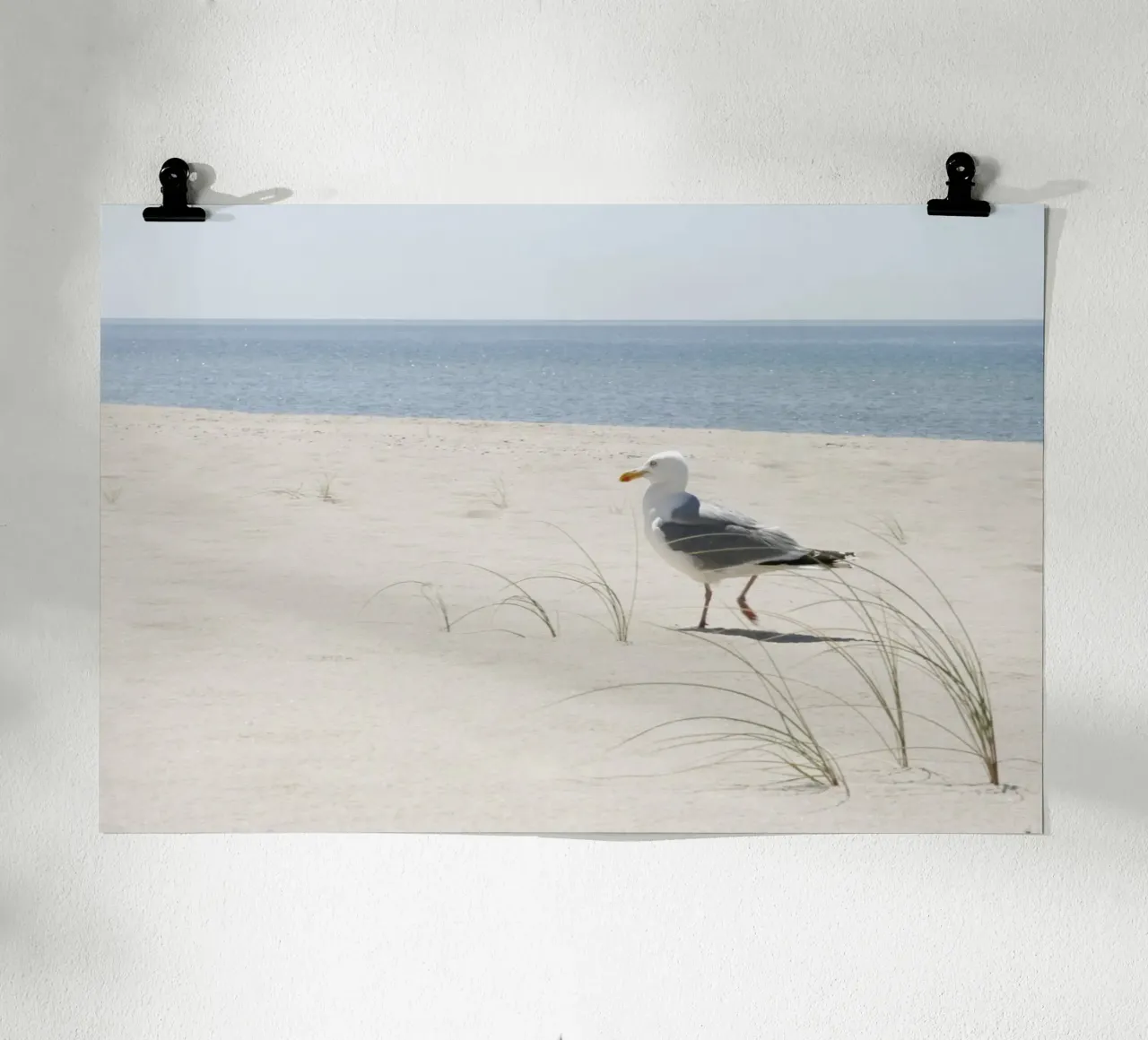 Möwe Poster von eyes & tries