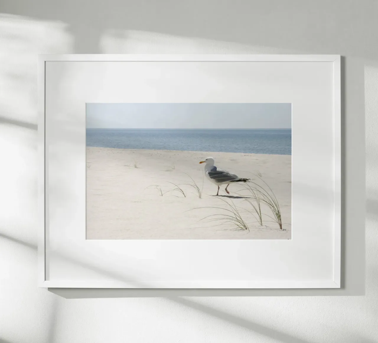 Möwe Poster von eyes & tries