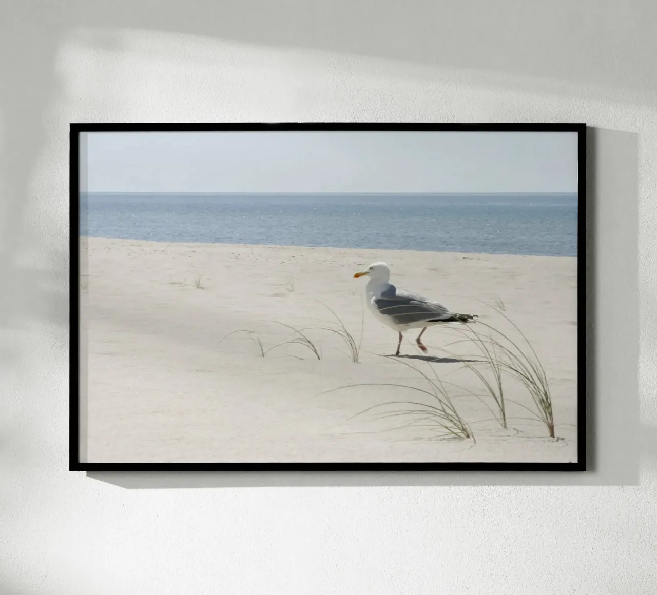 Möwe Poster von eyes & tries