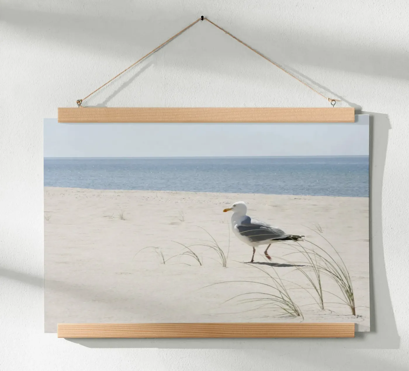 Gabbiano poster da eyes & tries