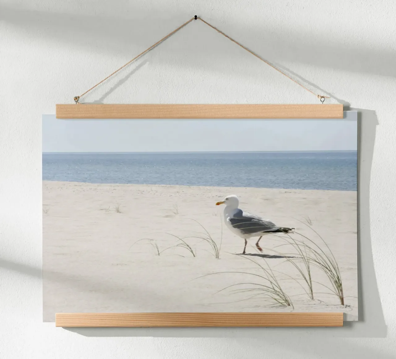 Möwe Poster von eyes & tries