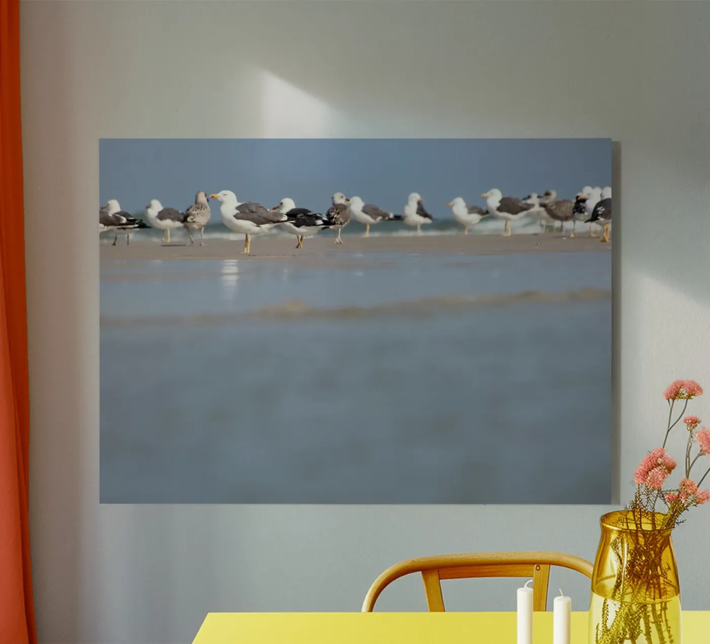 Seagulls plexiglas de eyes & tries