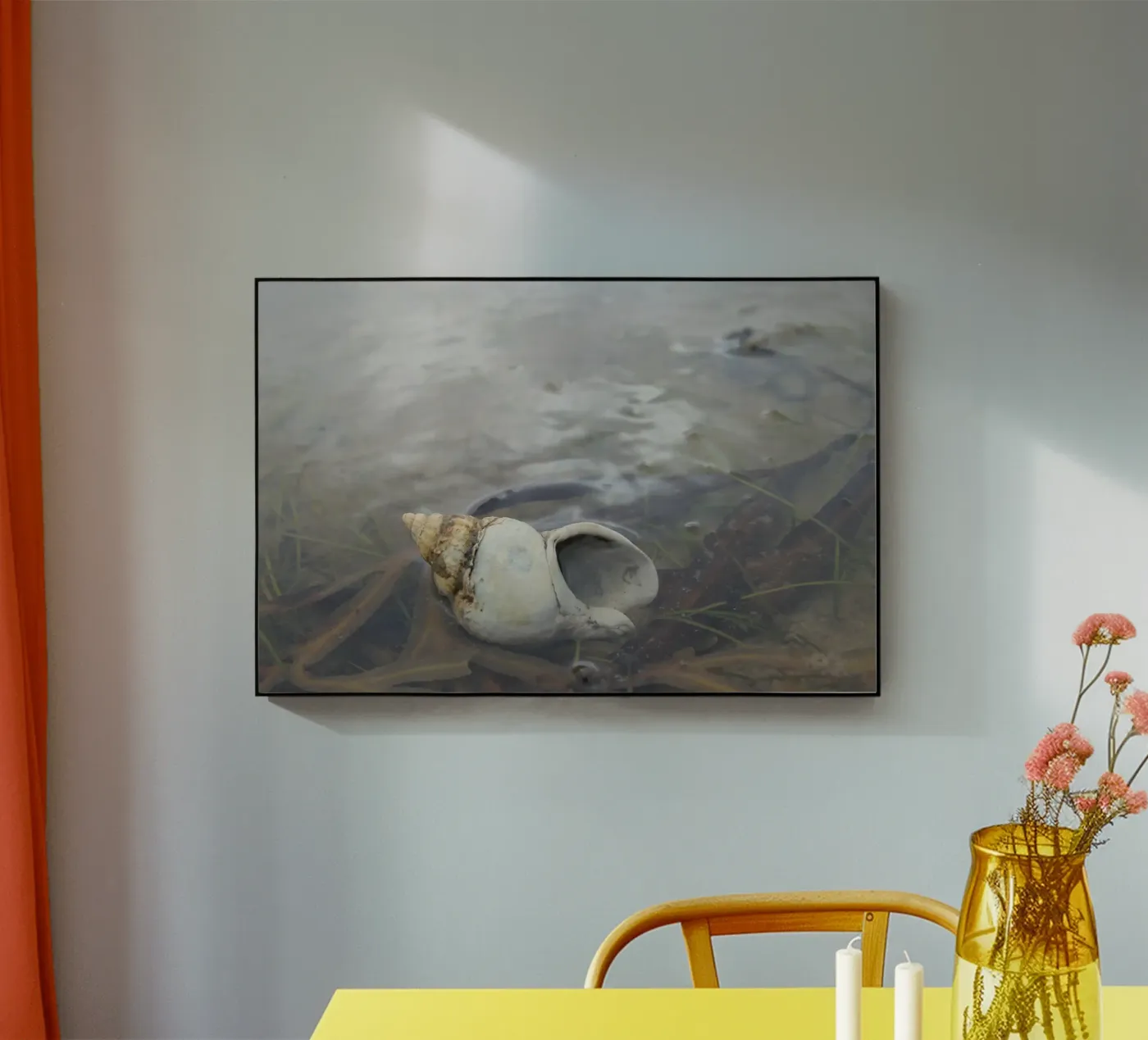 whelk plexiglass da eyes & tries