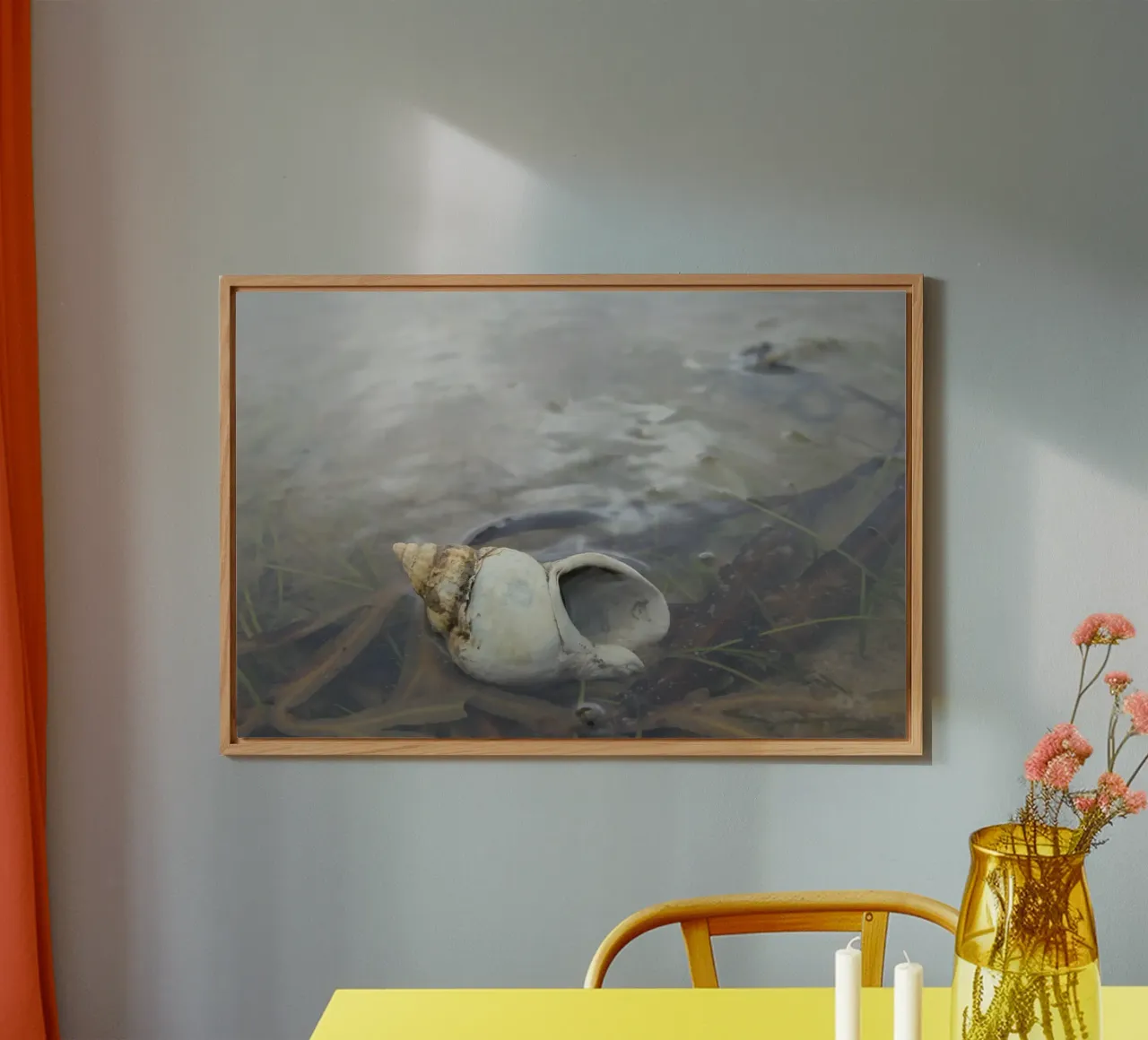 whelk forex plate by eyes & tries