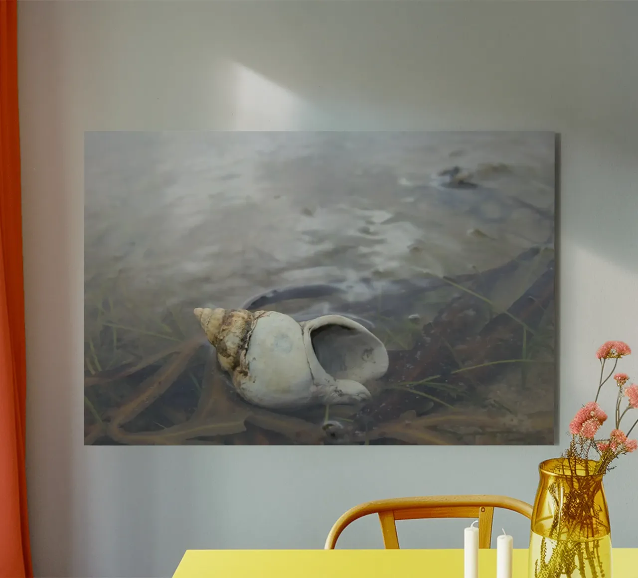 whelk forex plate by eyes & tries