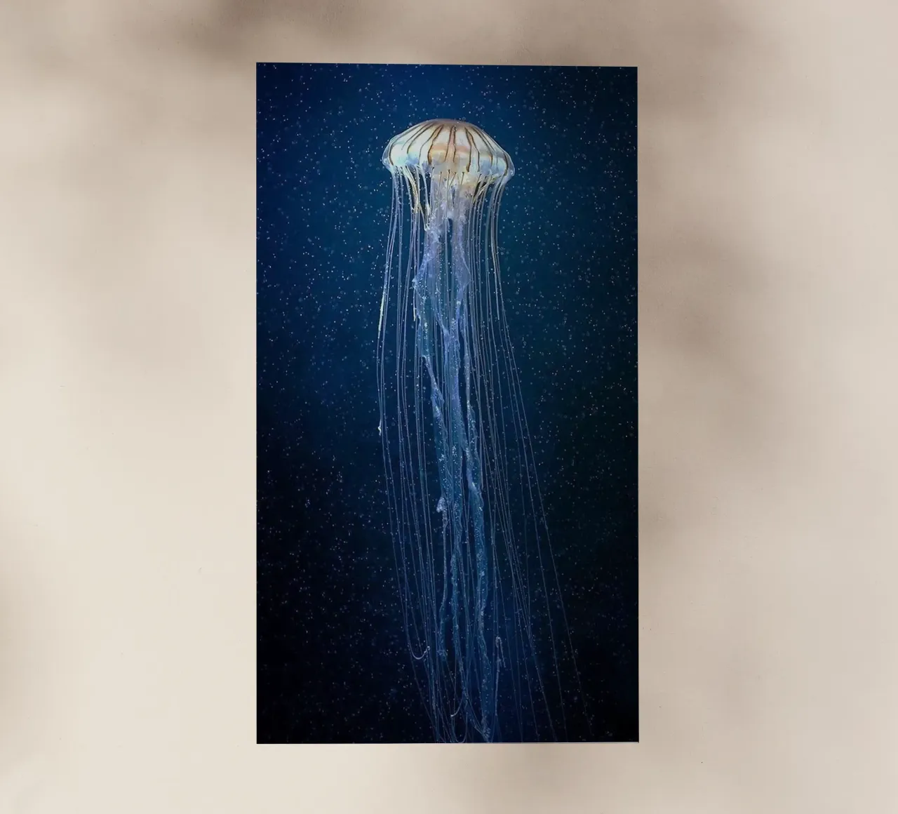 epic jellyfish pellicola backlit da ryan
