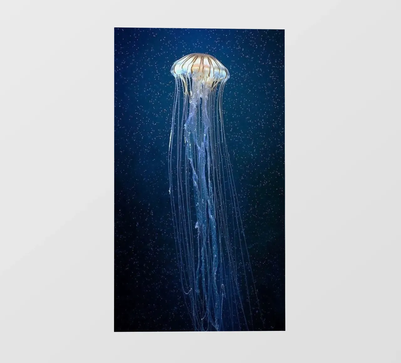 epic jellyfish pellicola backlit da ryan