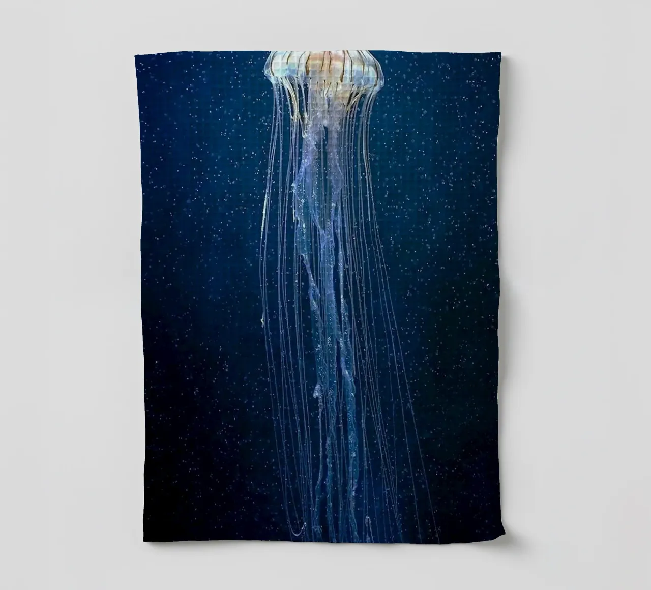 epic jellyfish canovaccio da cucina da ryan