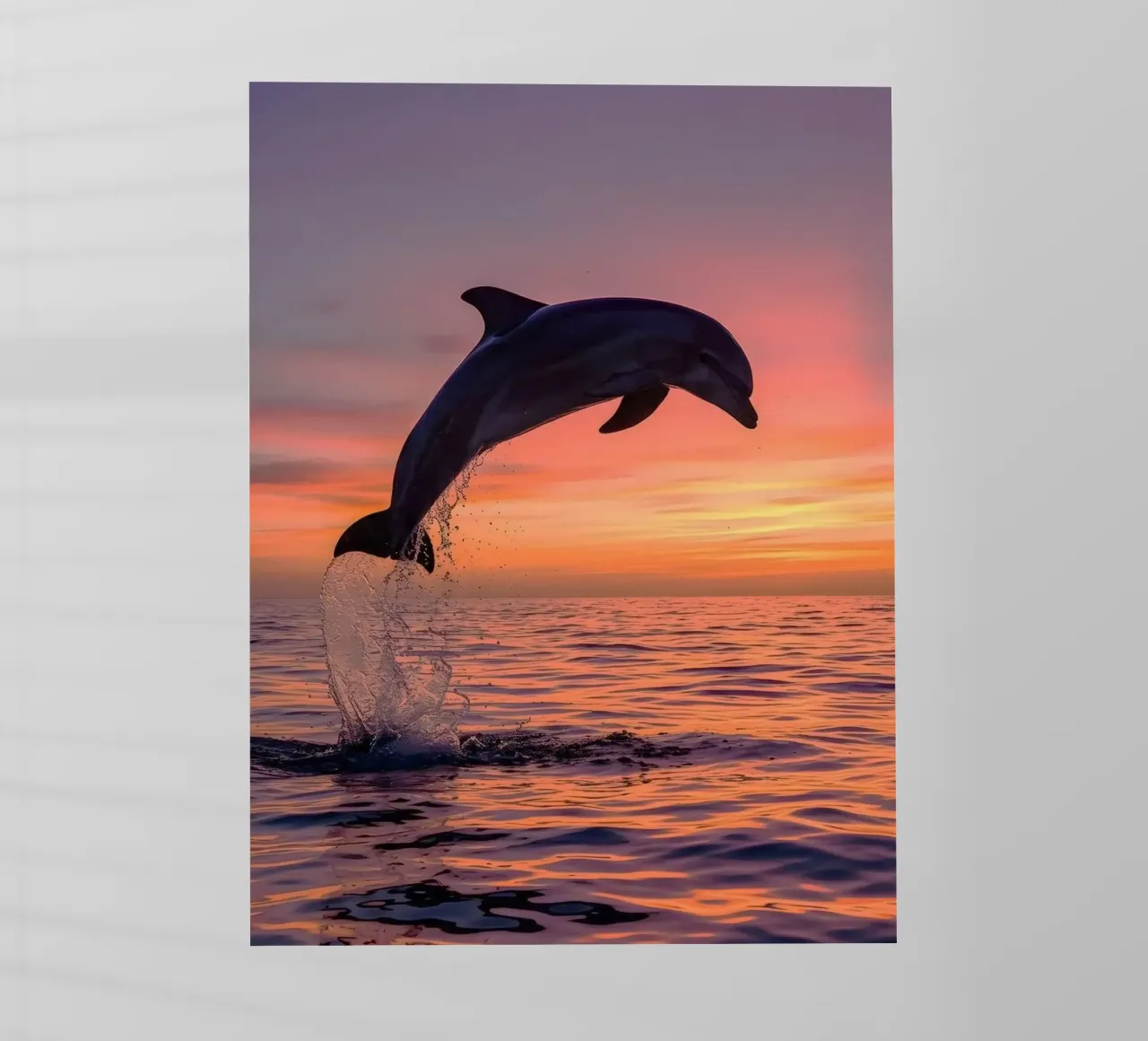 dolphin jump pellicola backlit da ryan