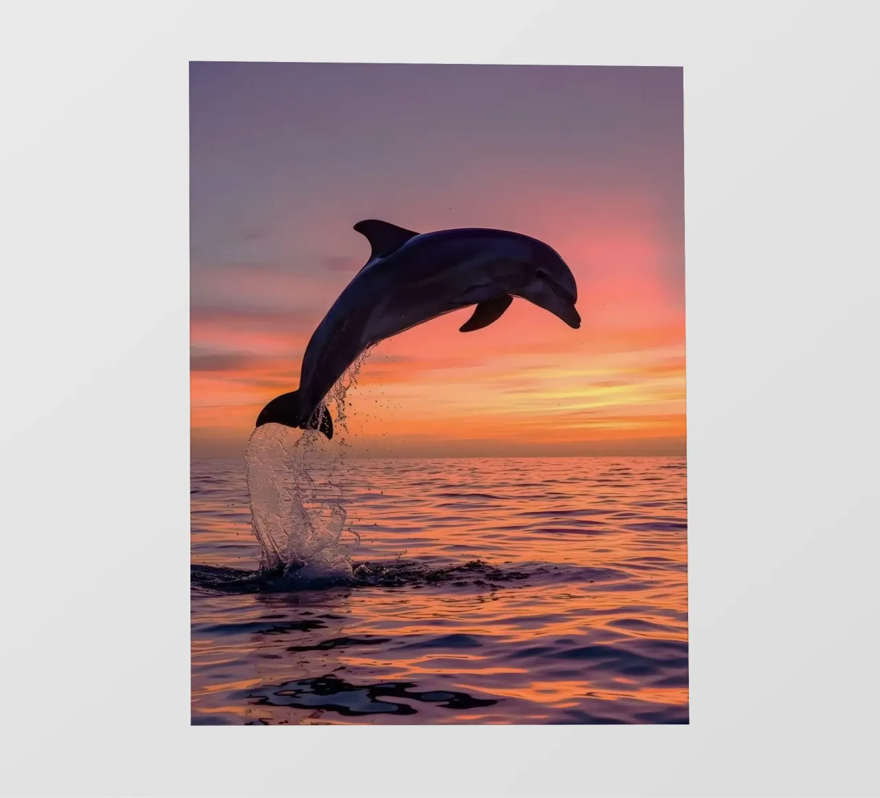 dolphin jump pellicola backlit da ryan
