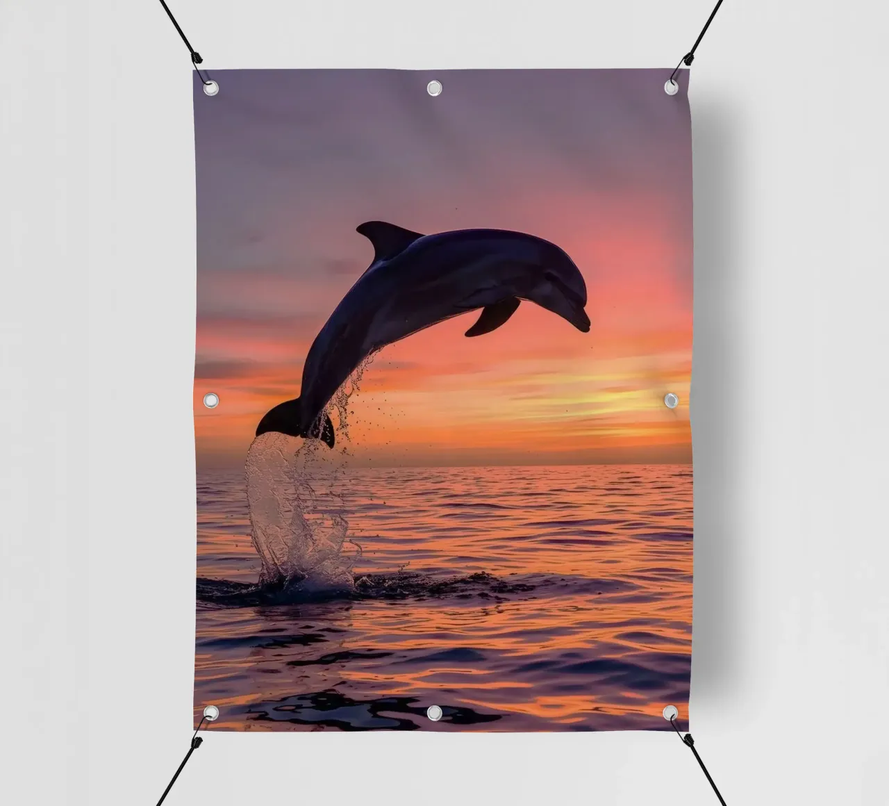 dolphin jump telo in pvc da ryan