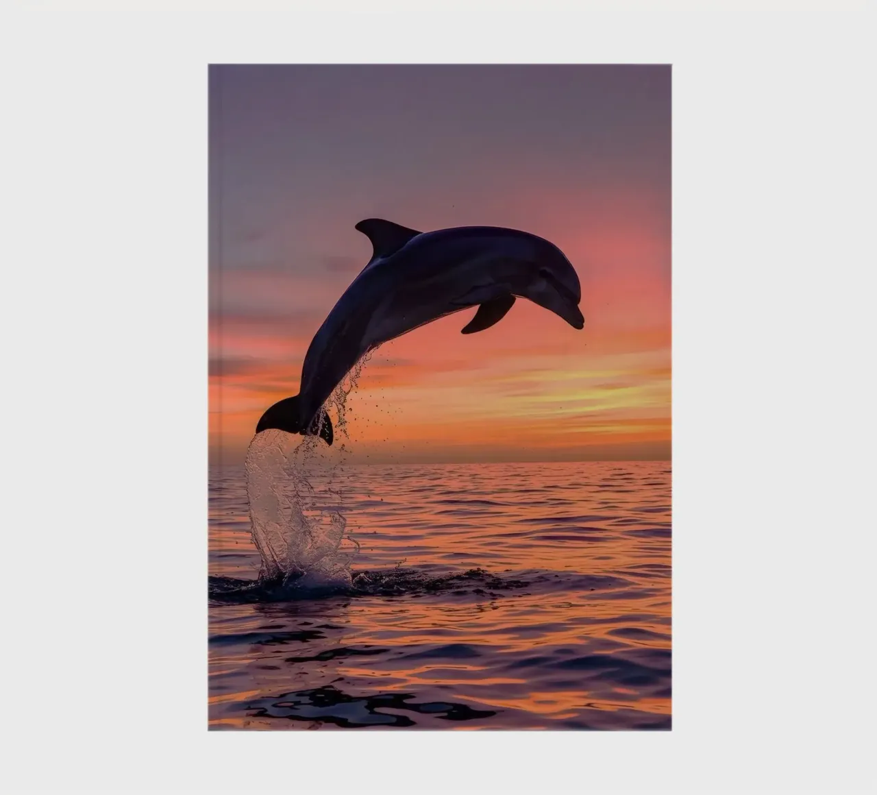 dolphin jump notebook by ryan