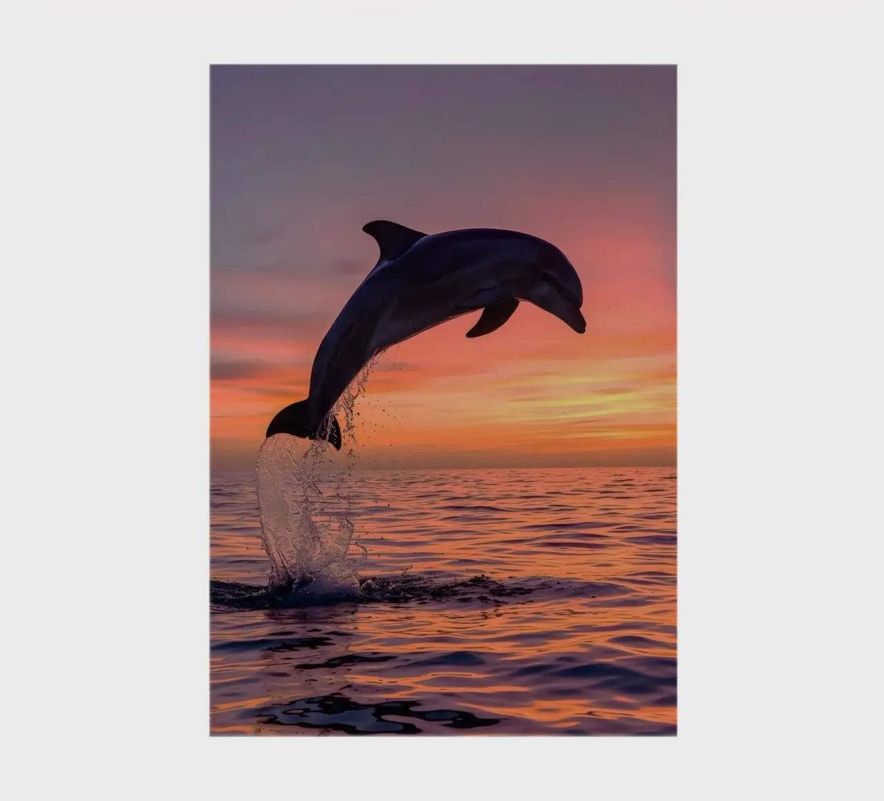 dolphin jump notebook by ryan