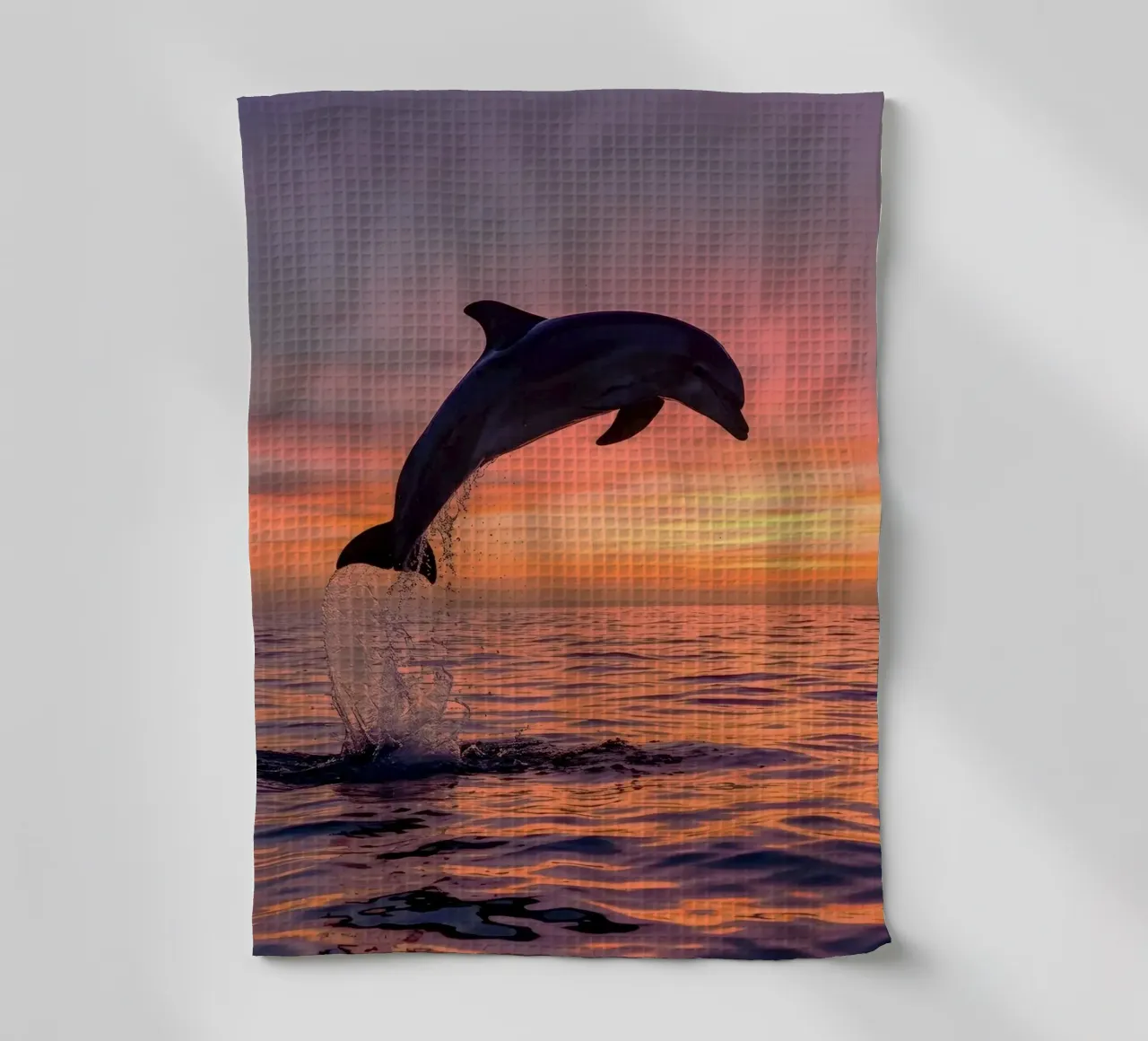 dolphin jump canovaccio da cucina da ryan