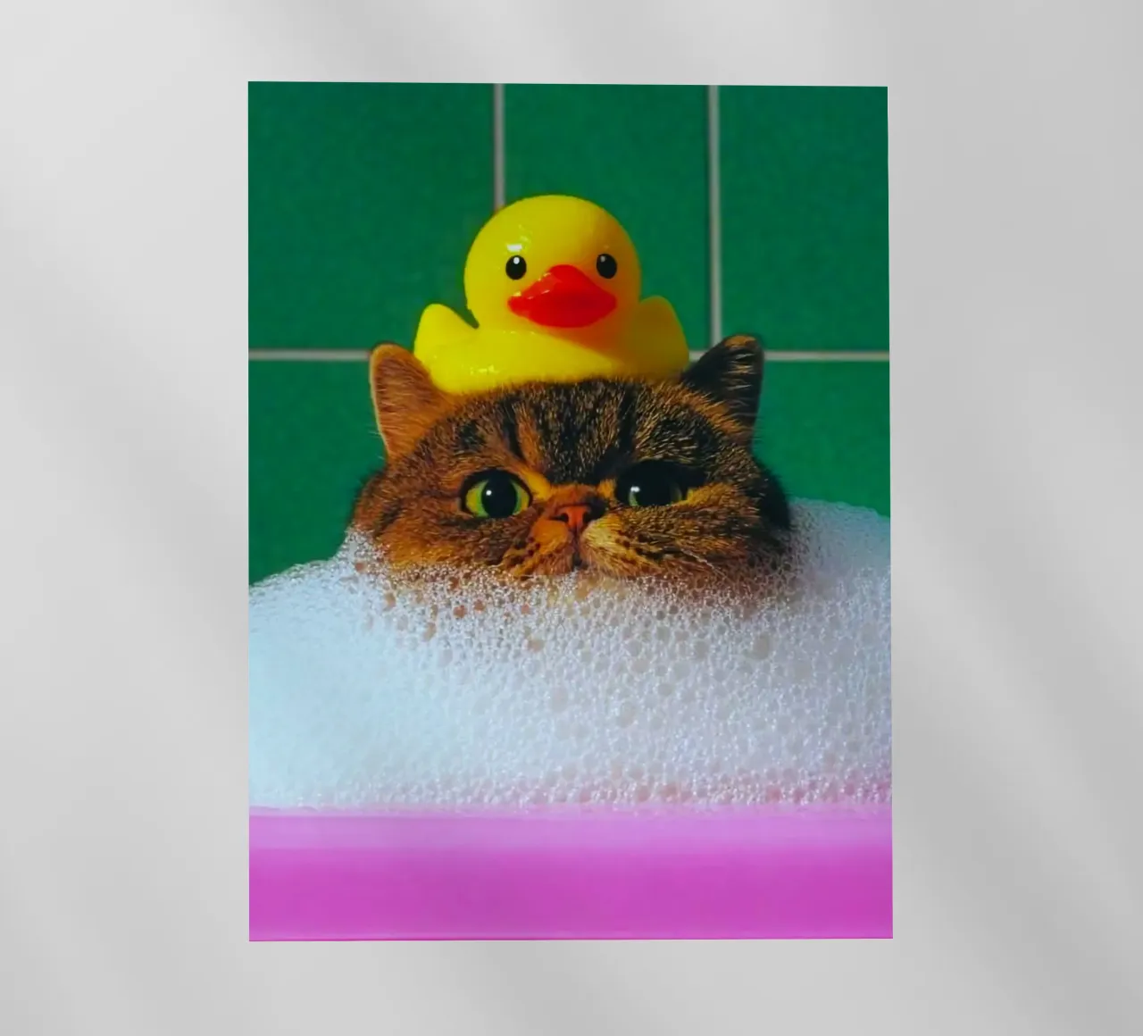 cat in shower pellicola backlit da ryan