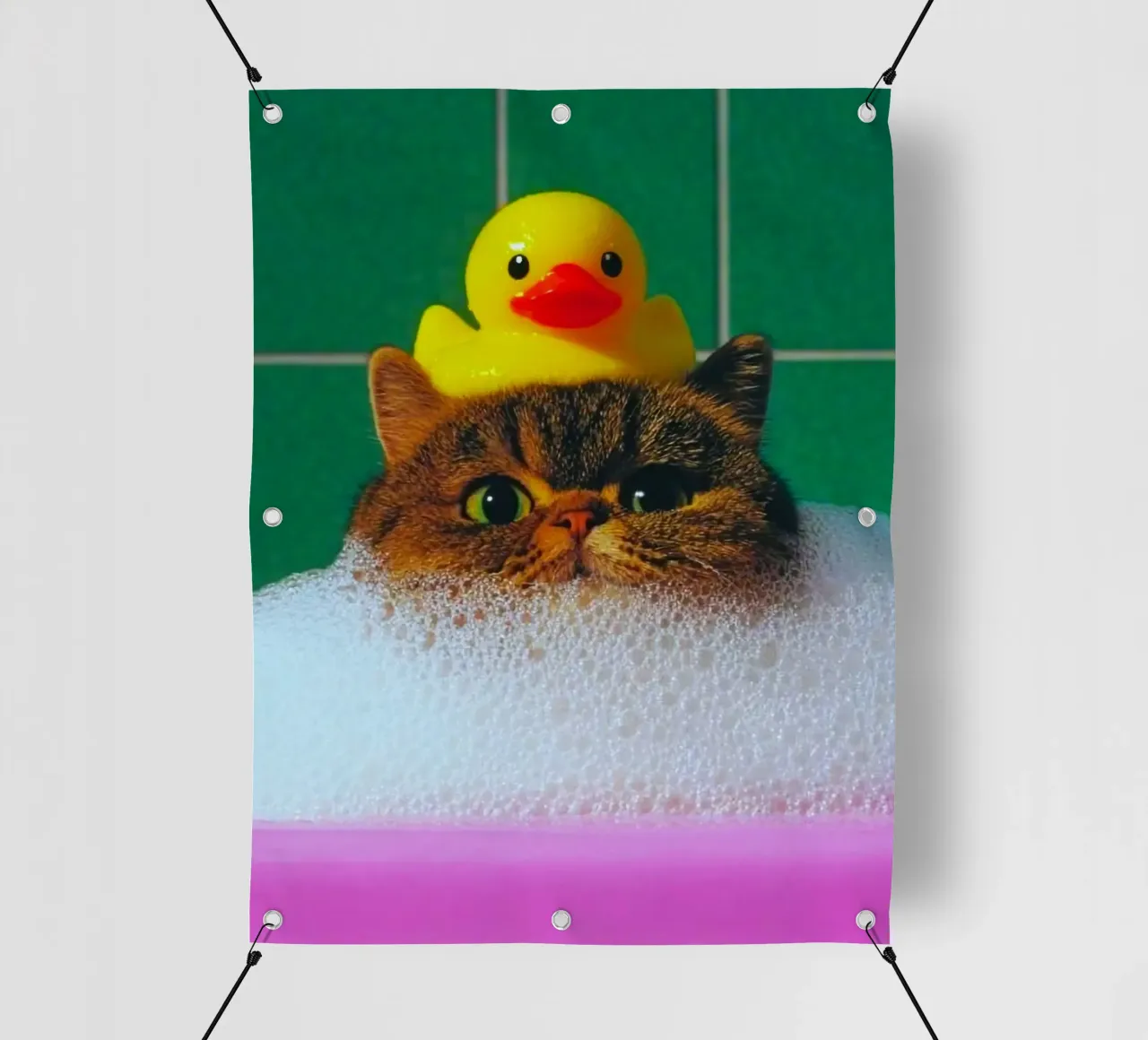 cat in shower telo in pvc da ryan