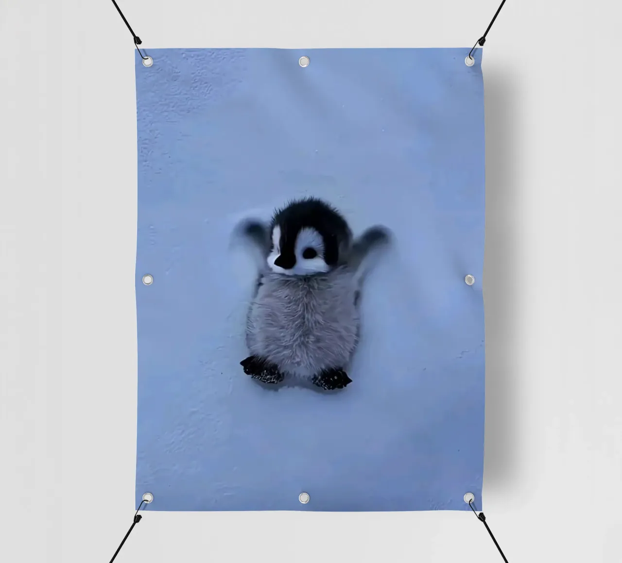 penguin on snow telo in pvc da ryan