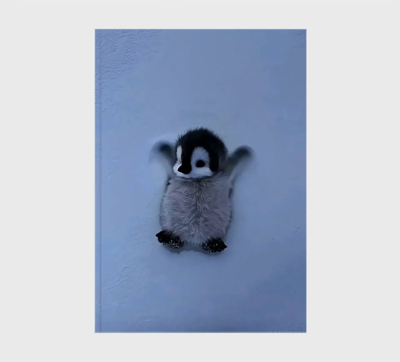 penguin on snow diario da ryan