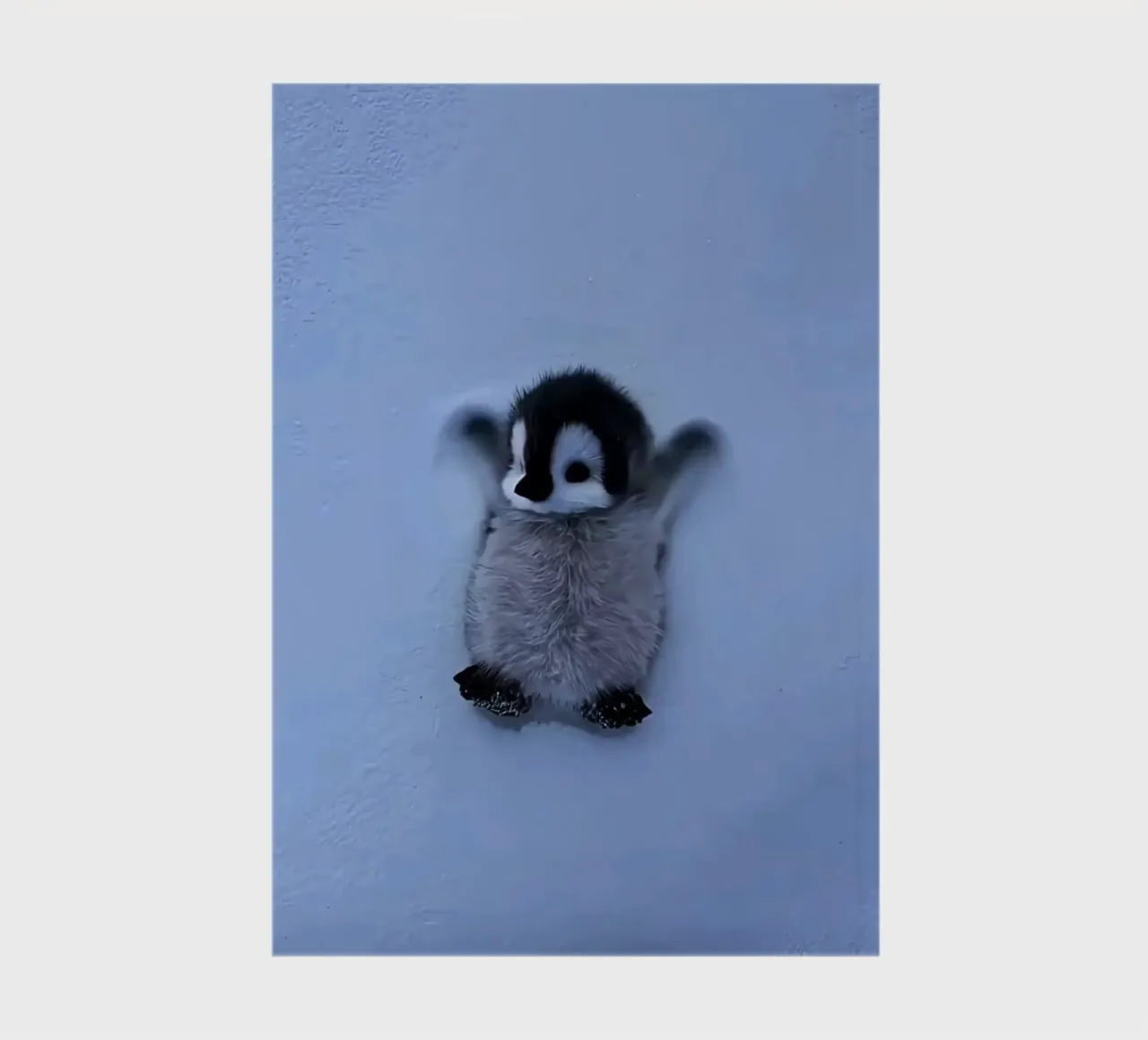 penguin on snow diario da ryan