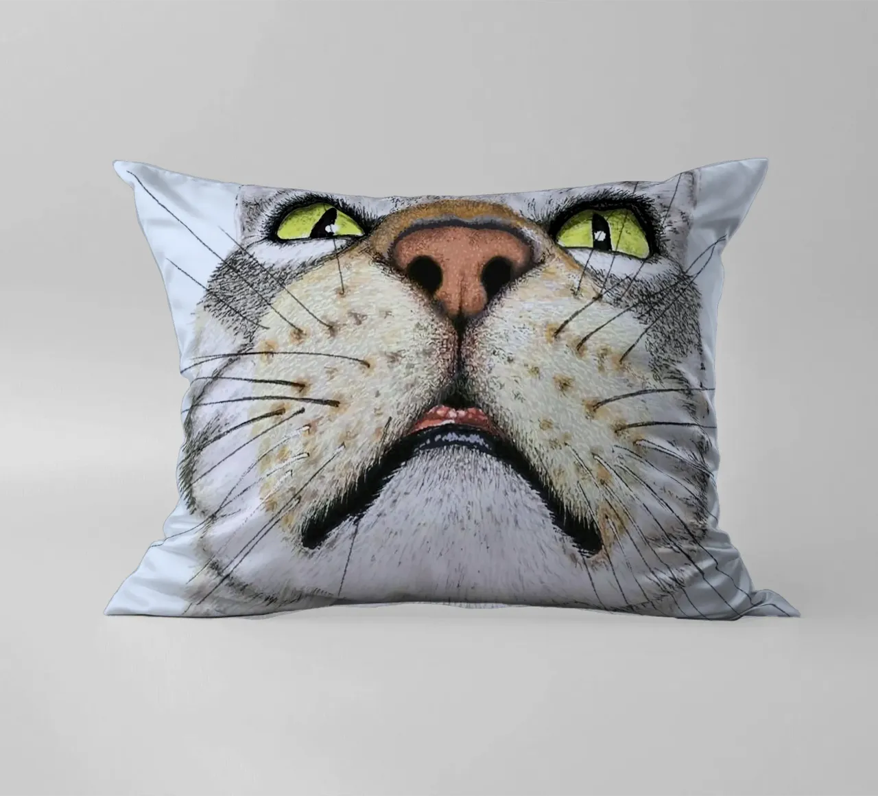 potrait cat cuscino da ryan