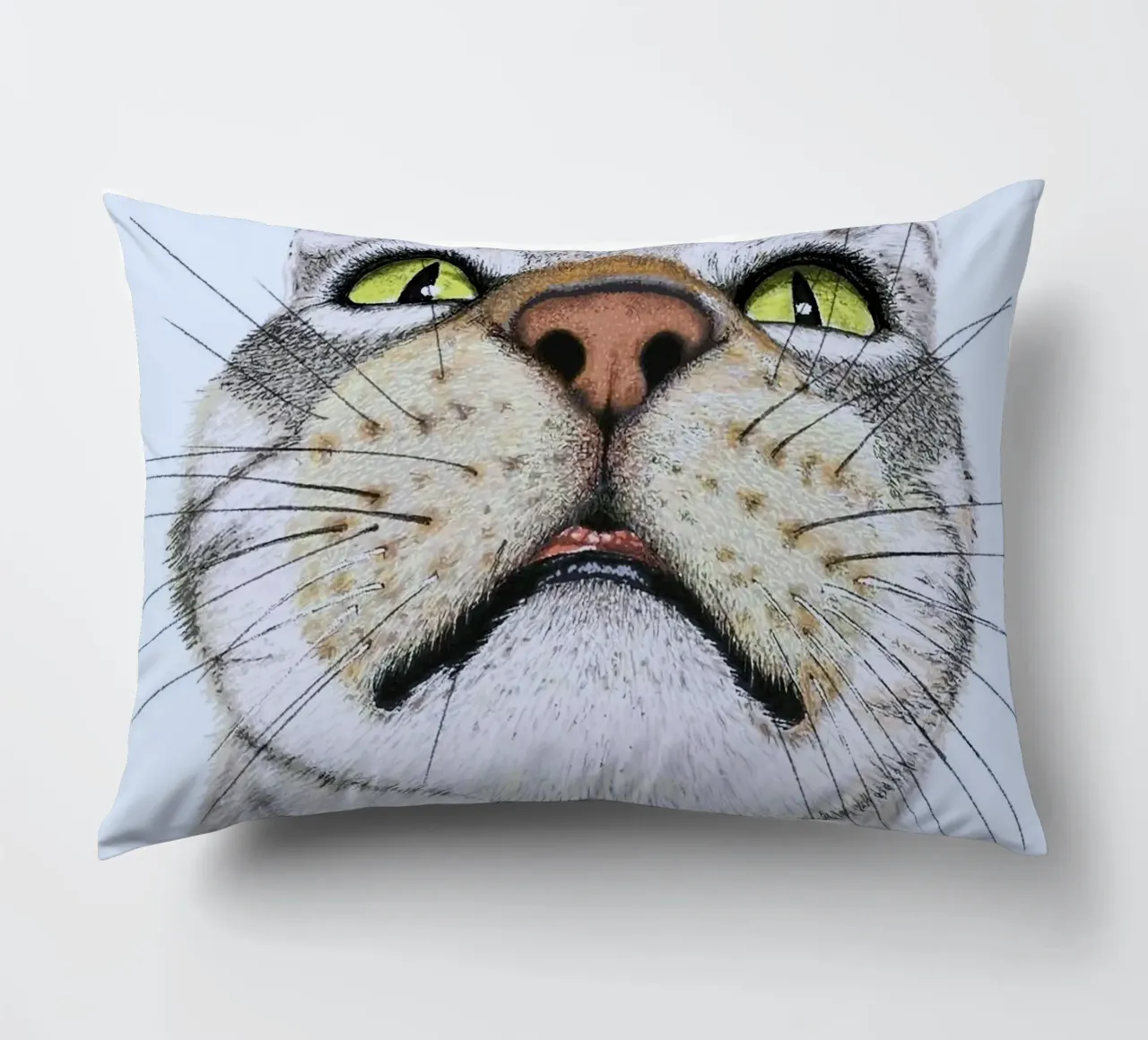 potrait cat cuscino da ryan