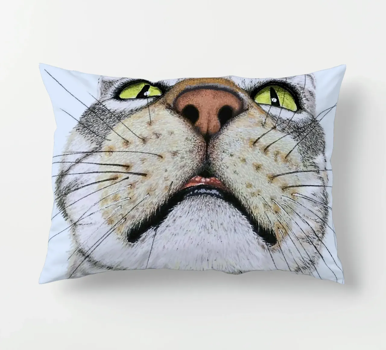 potrait cat cuscino da ryan