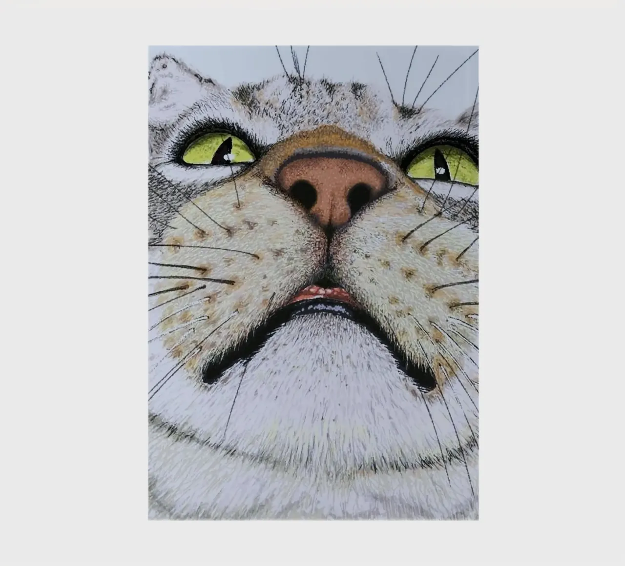 potrait cat notebook by ryan