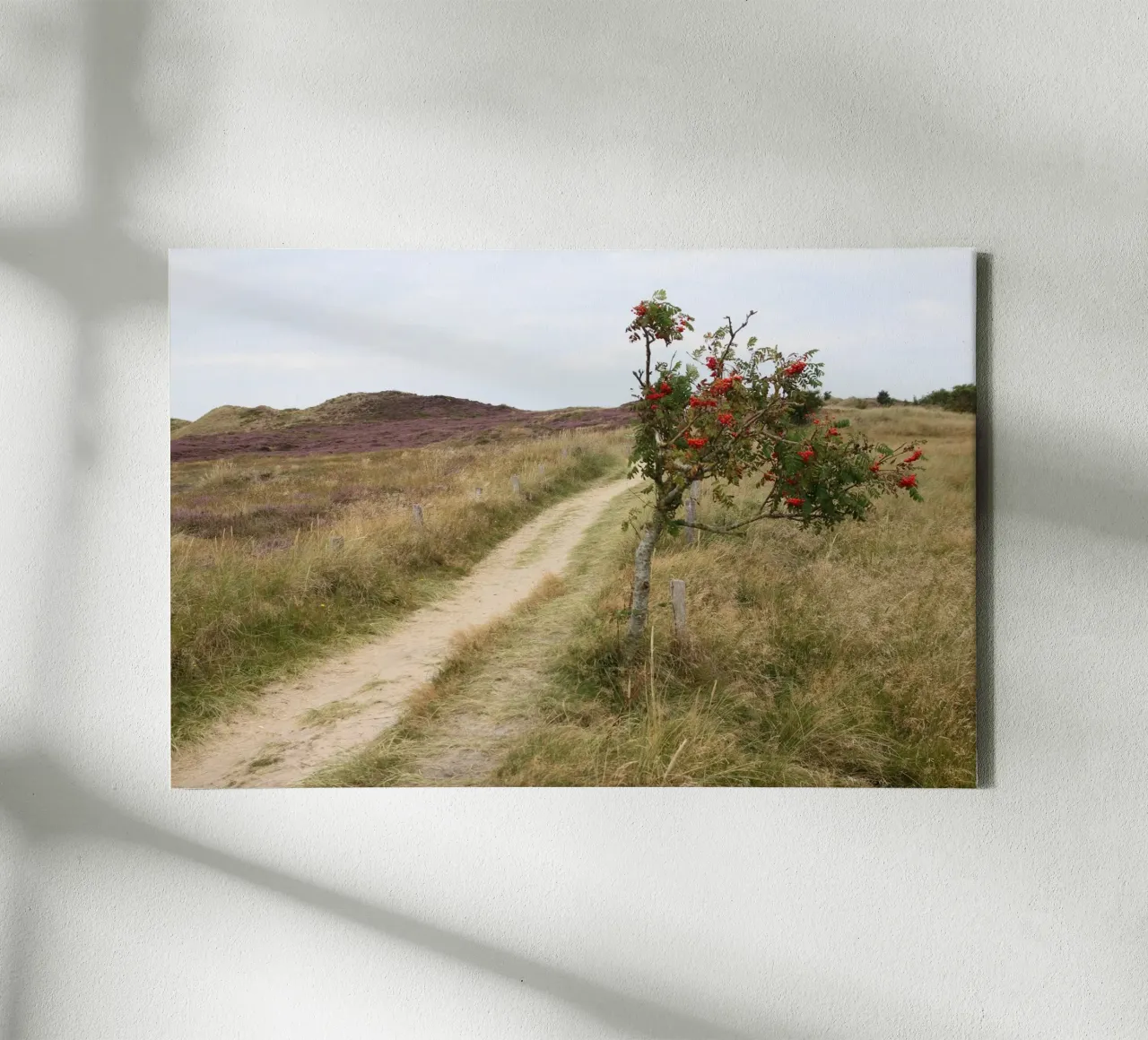 Path through the heath canvas by eyes & tries