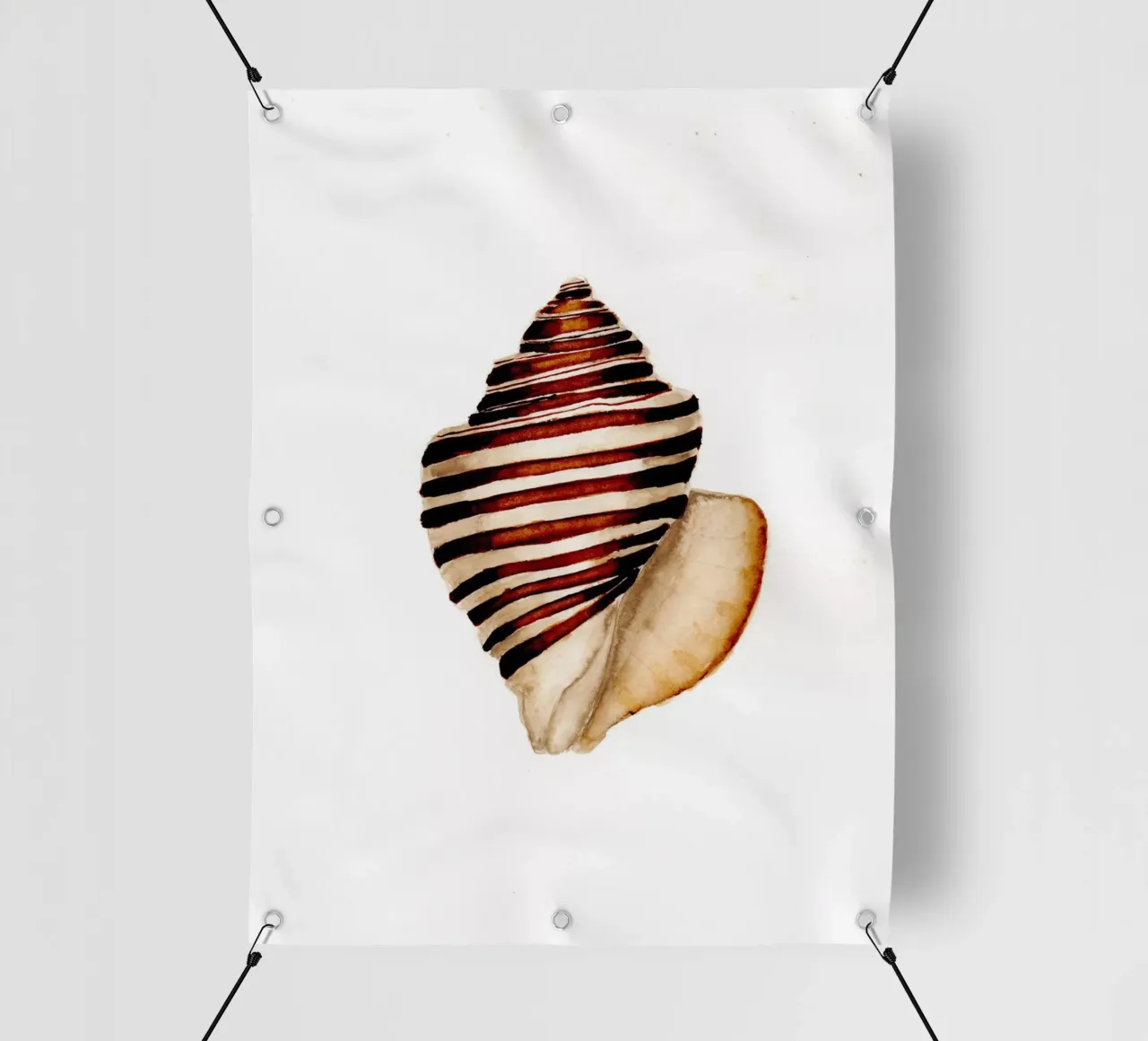 stripe shell telo in pvc da Nathys_illustration