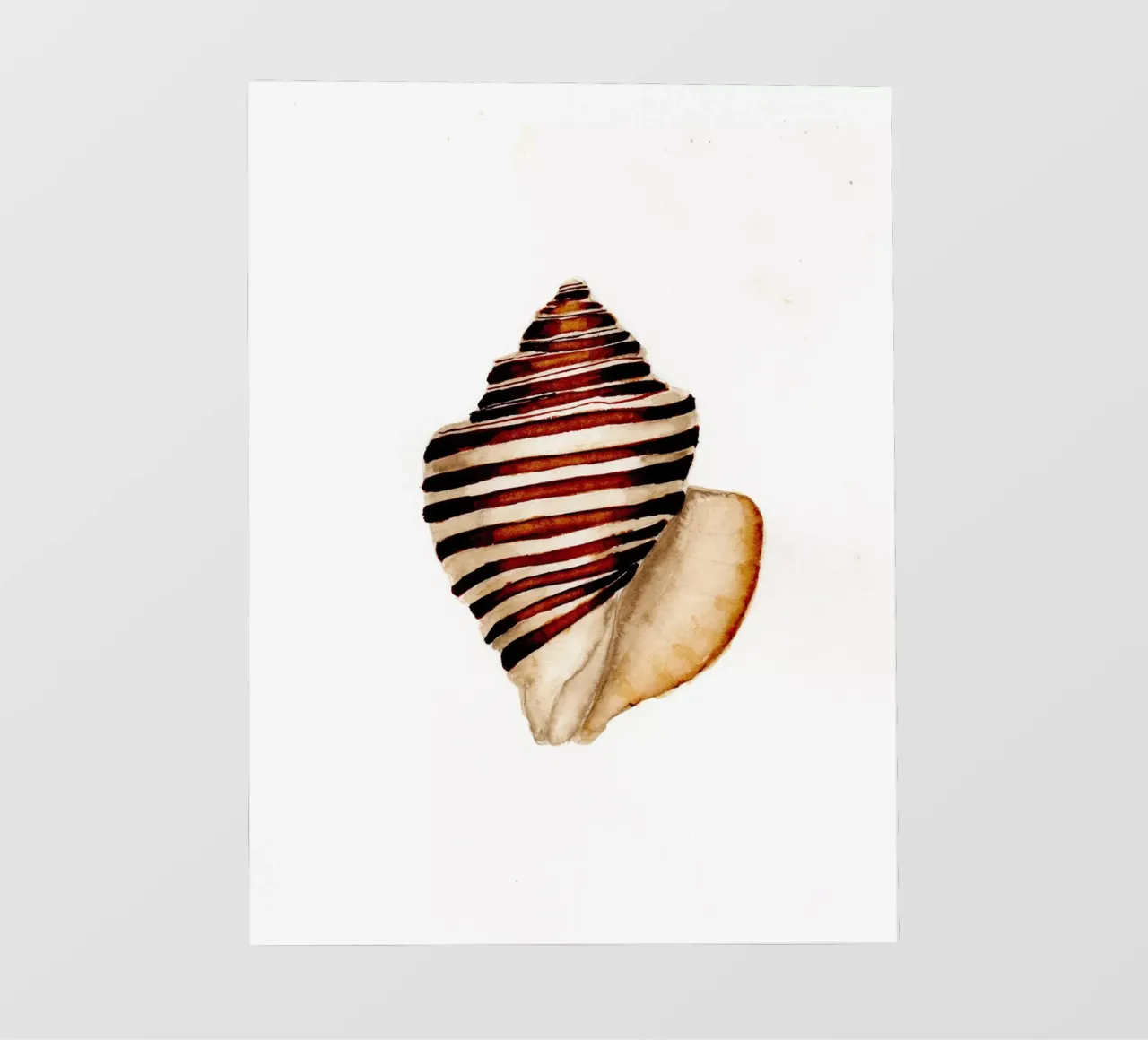 stripe shell telo in pvc da Nathys_illustration