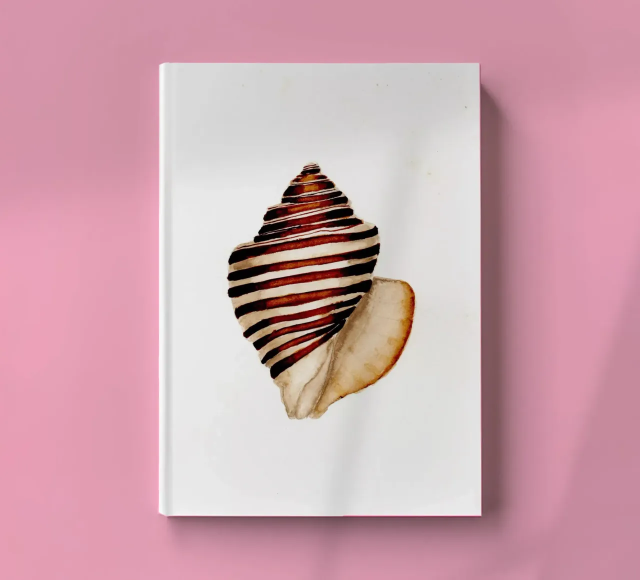 stripe shell notebook by Nathys_illustration