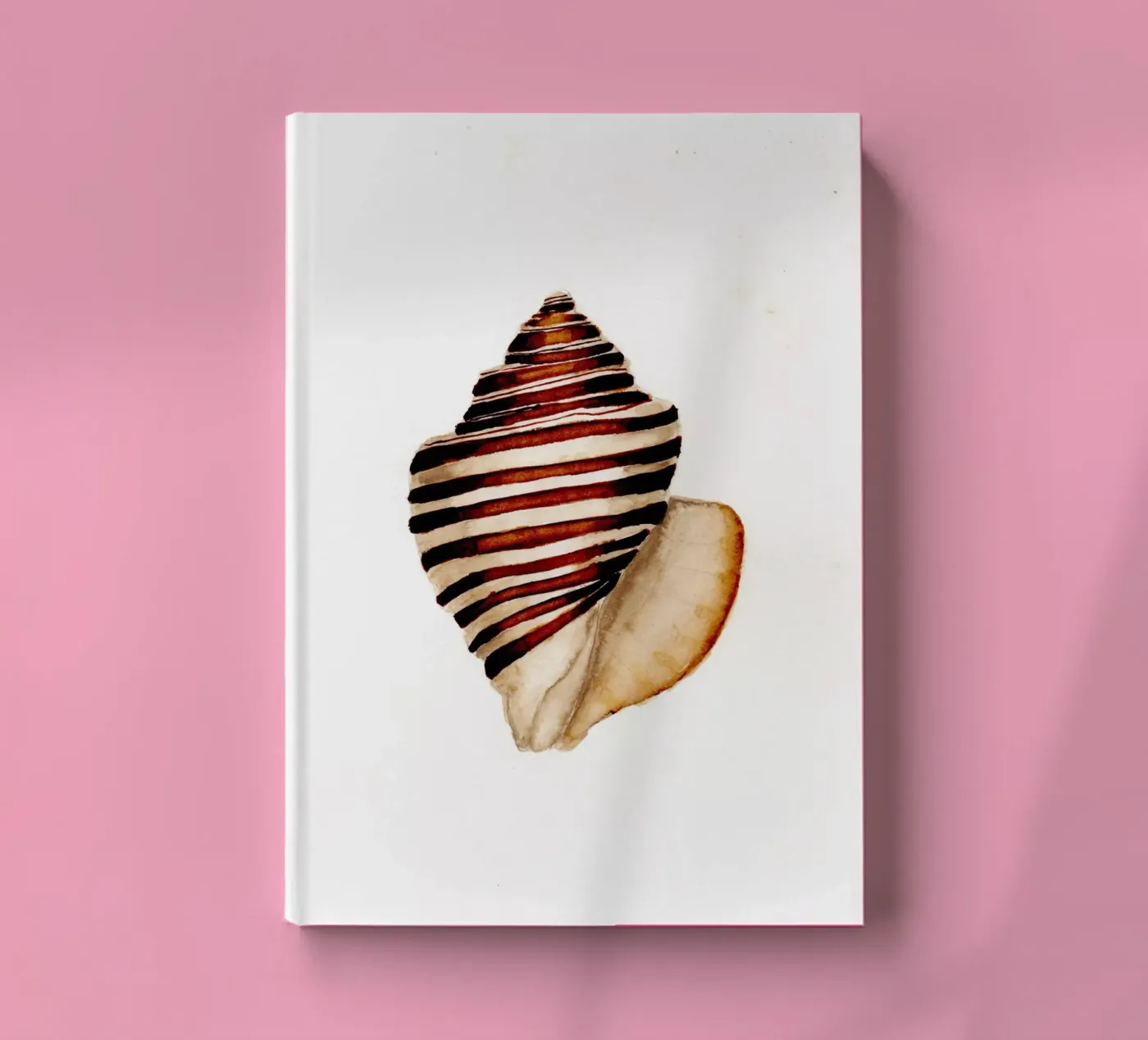 stripe shell notebook by Nathys_illustration